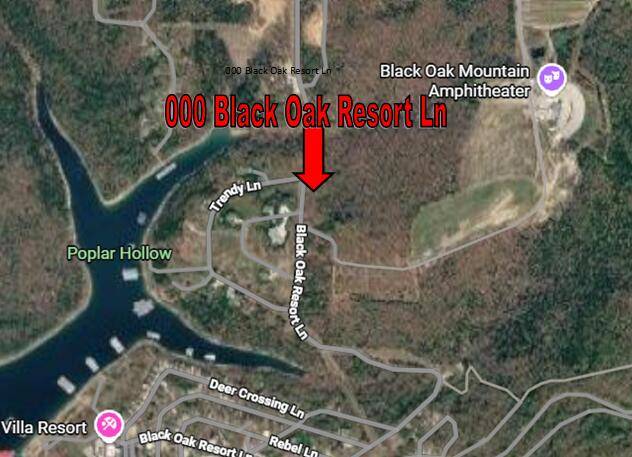 000 Black Oak Resort LN, Lampe, MO 65681