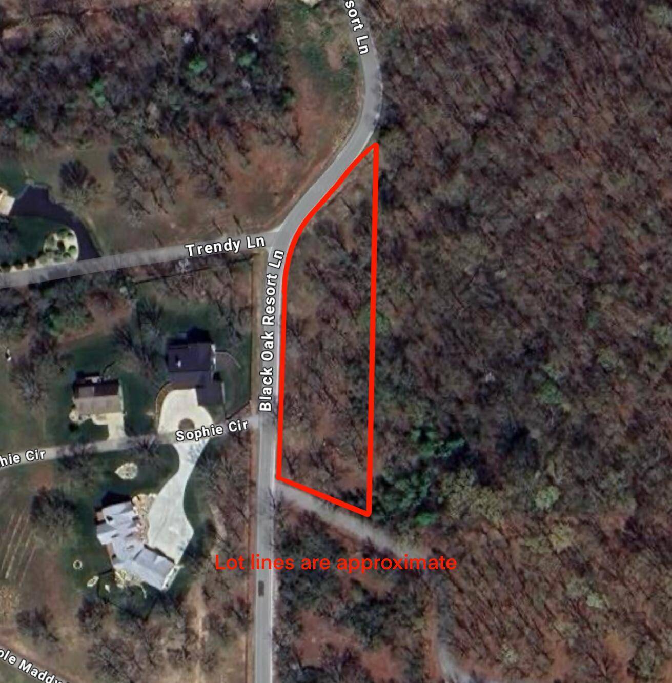 000 Black Oak Resort LN, Lampe, MO 65681