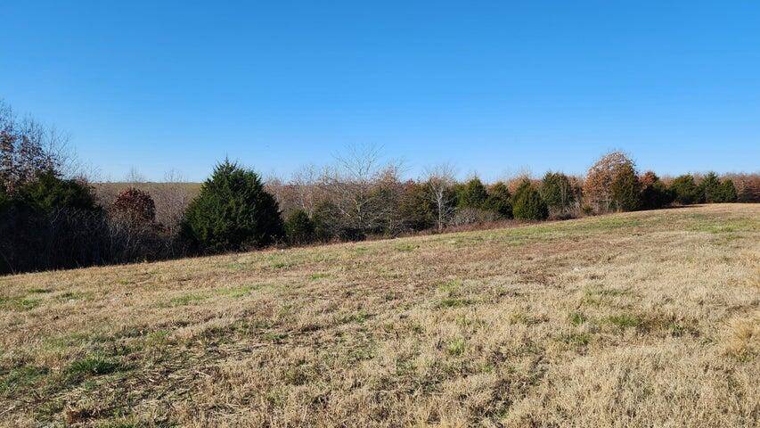 Tbd Highway 63, Thayer, MO 65791