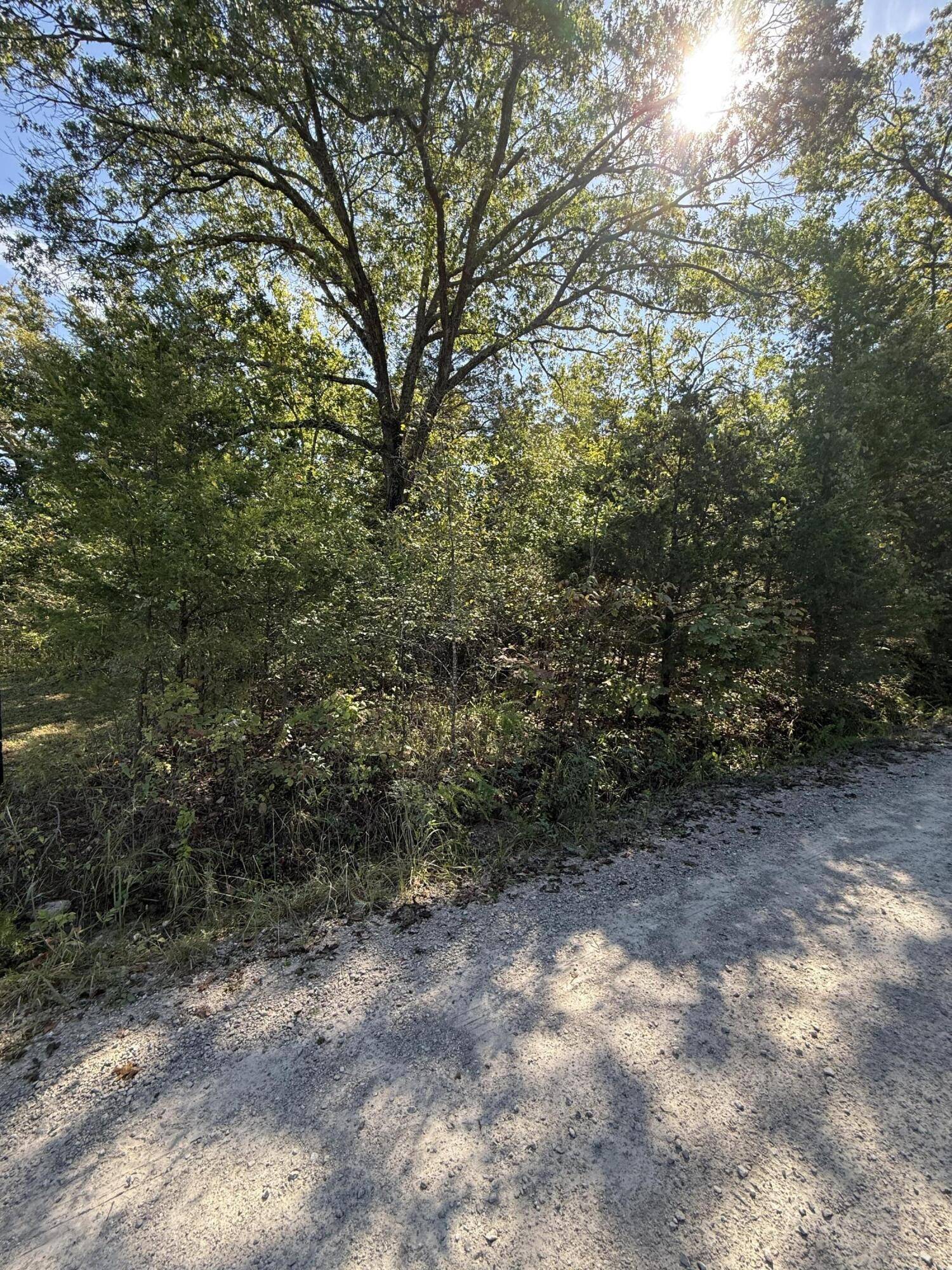 Lot 23 Daisy LN, Lampe, MO 65681