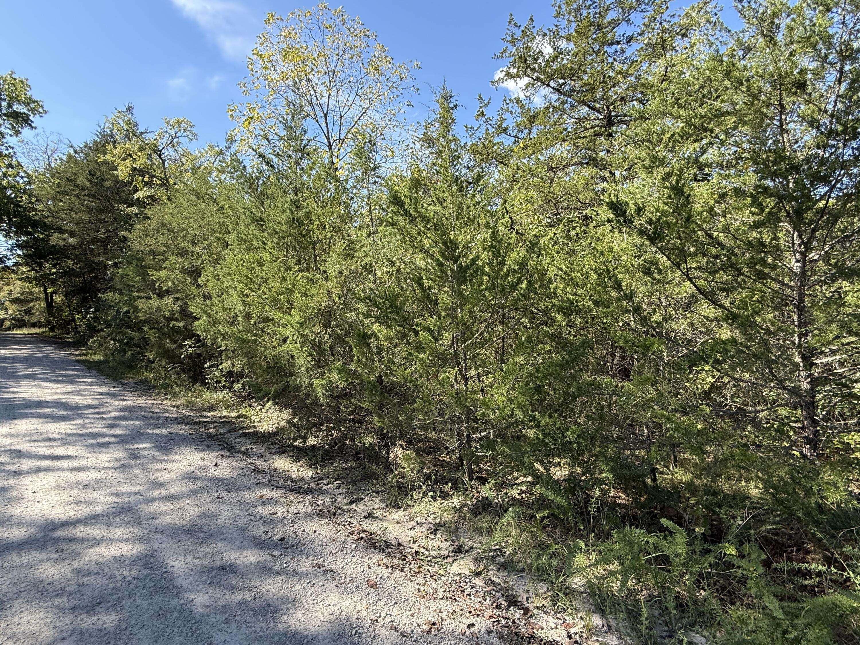 Lot 23 Daisy LN, Lampe, MO 65681