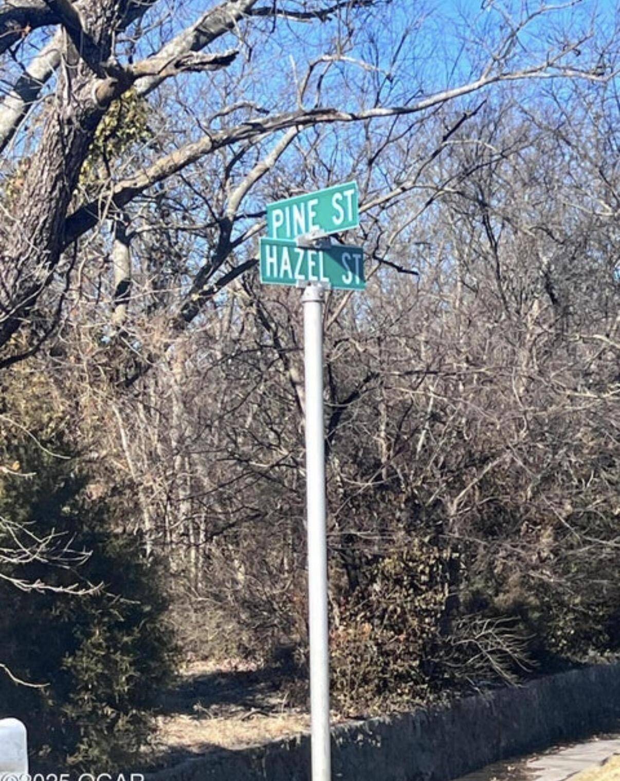 Tbd Hazel AVE, Carthage, MO 64836
