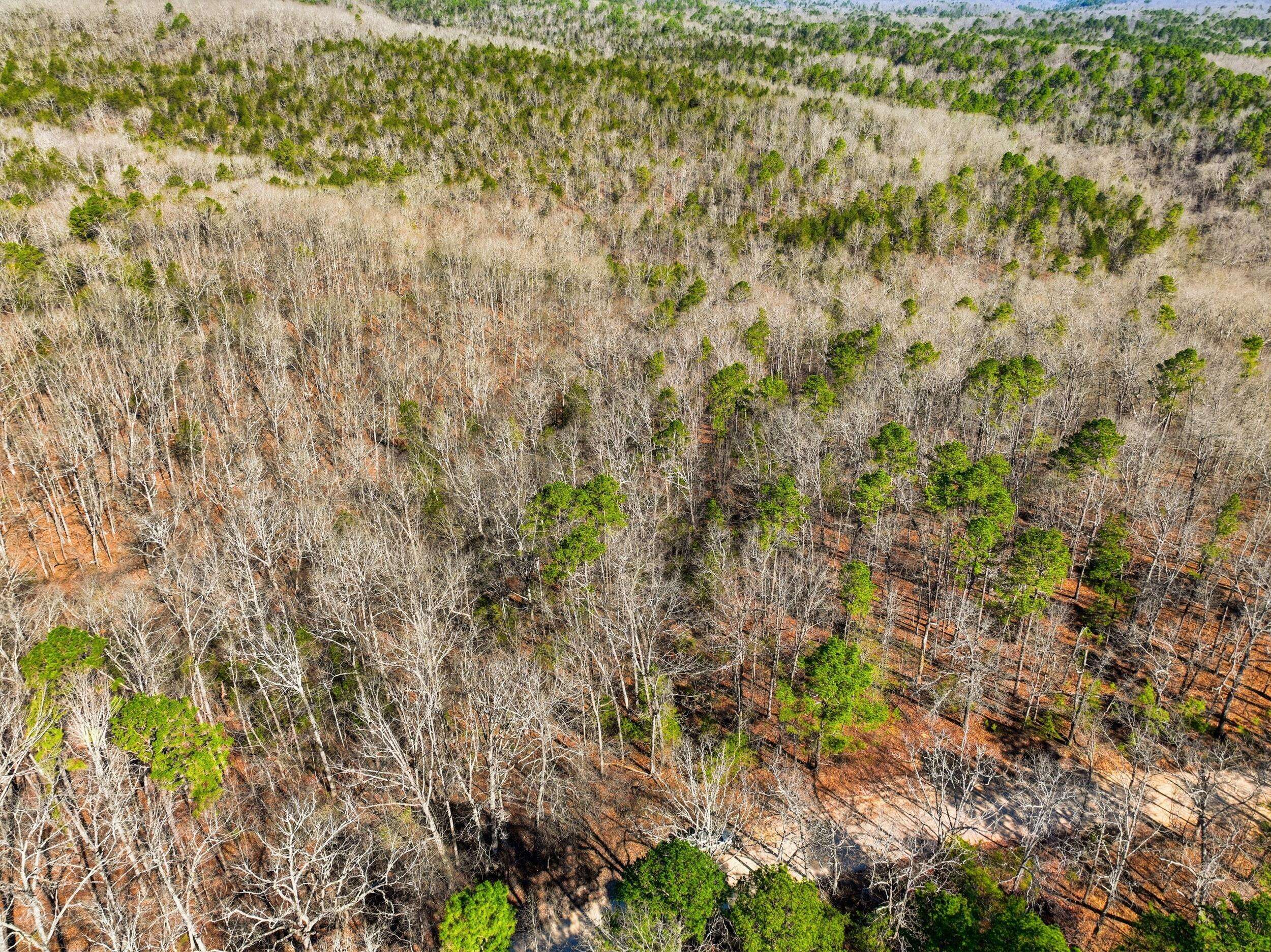 000 County Road 158, Gainesville, MO 65655