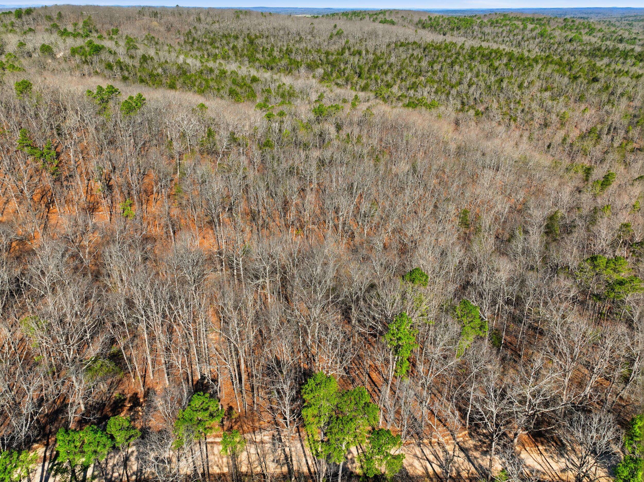 000 County Road 158, Gainesville, MO 65655