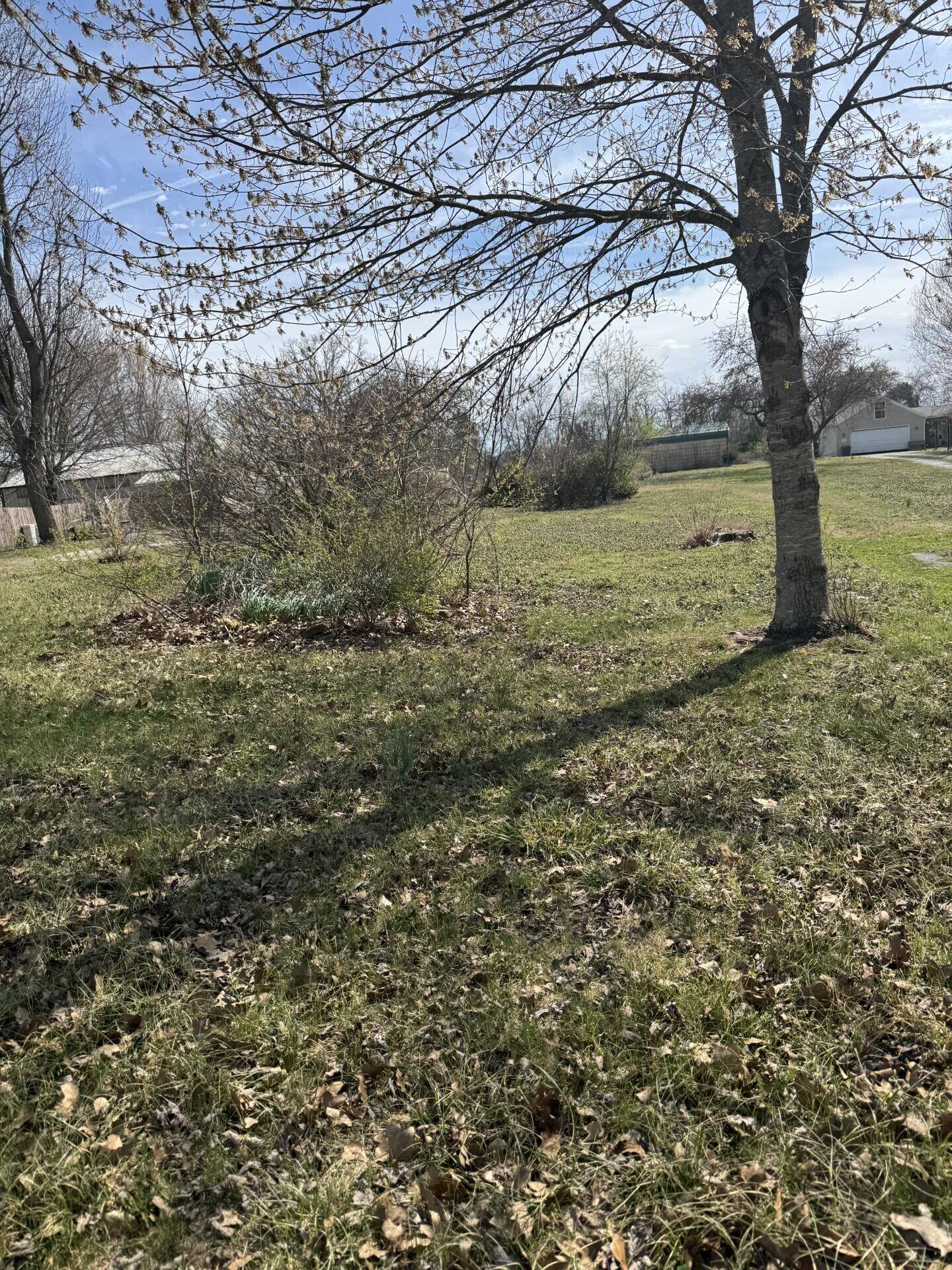 000 Rolling Hills DR, Seligman, MO 65745