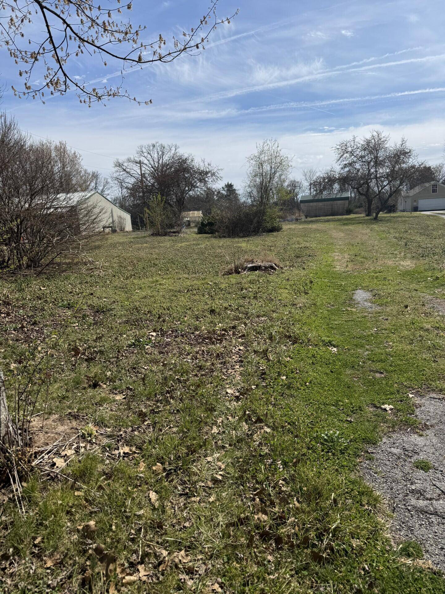 000 Rolling Hills DR, Seligman, MO 65745