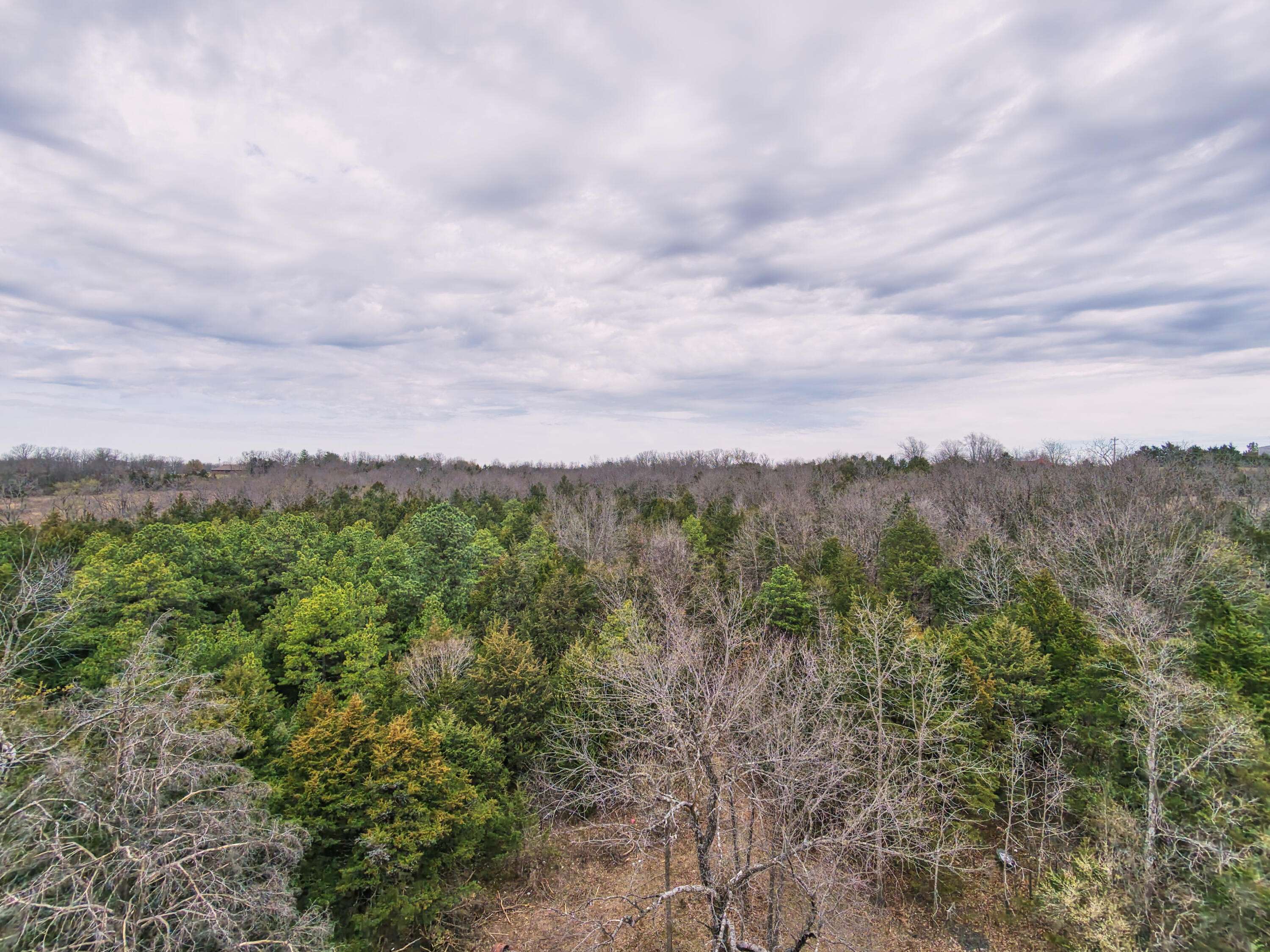 11239 Stave Mill RD, Mountain Grove, MO 65711