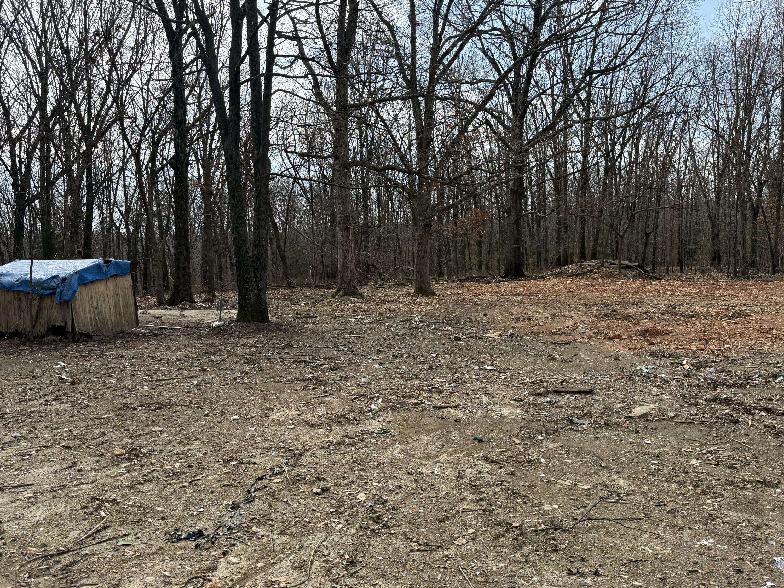 5116 State Highway Ww, Verona, MO 65769