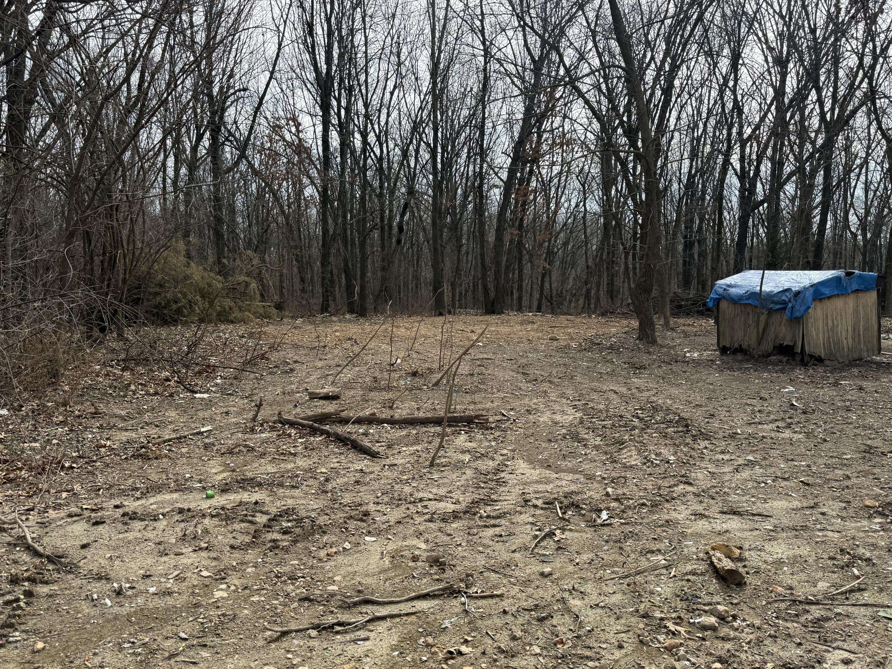 5116 State Highway Ww, Verona, MO 65769