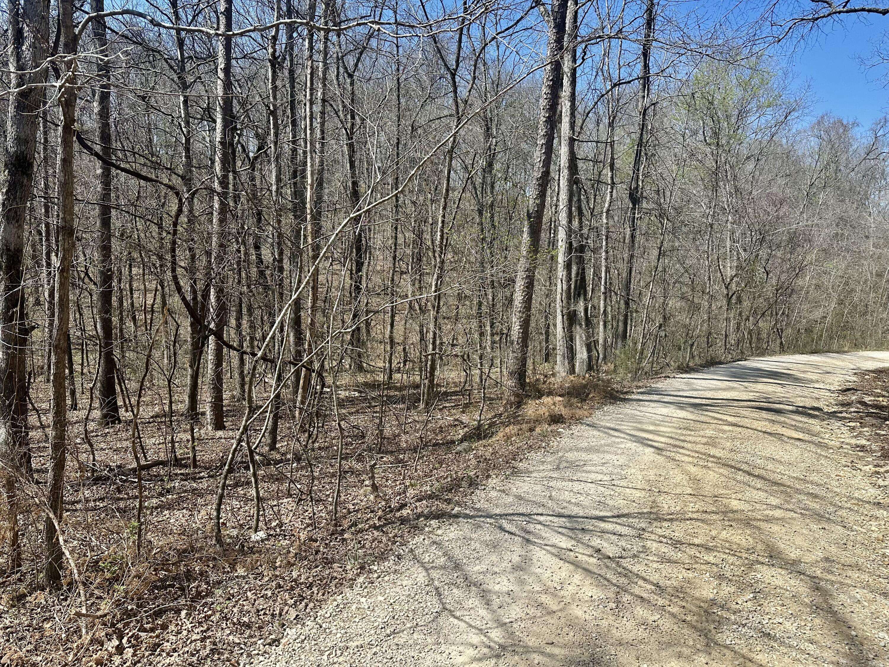 000 Water Tower RD, Van Buren, MO 63965