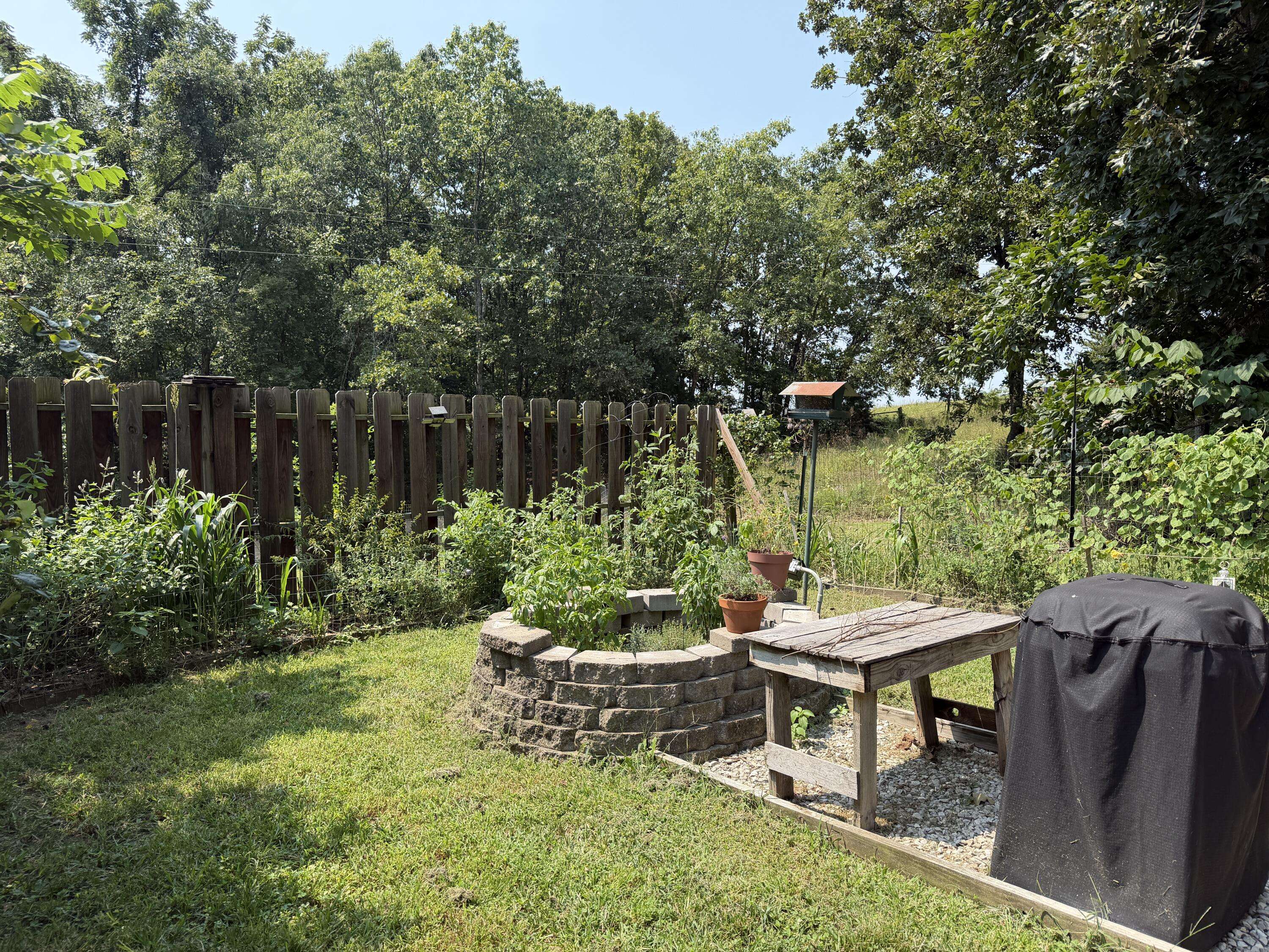 22827 Elderberry DR, Summersville, MO 65571
