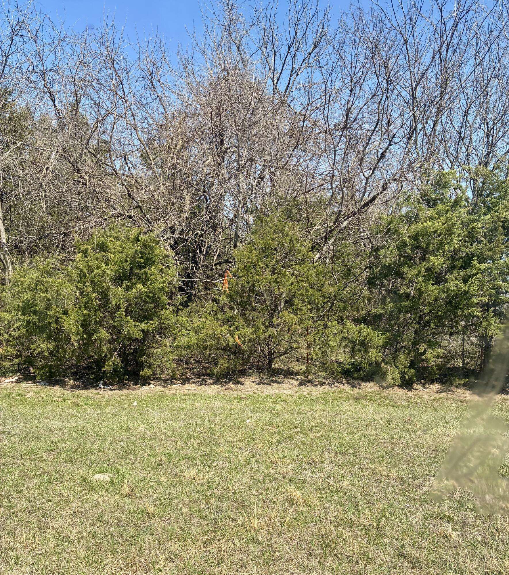 000 State Highway 83, Weaubleau, MO 65774