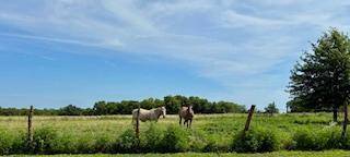 000 State Highway 83, Weaubleau, MO 65774