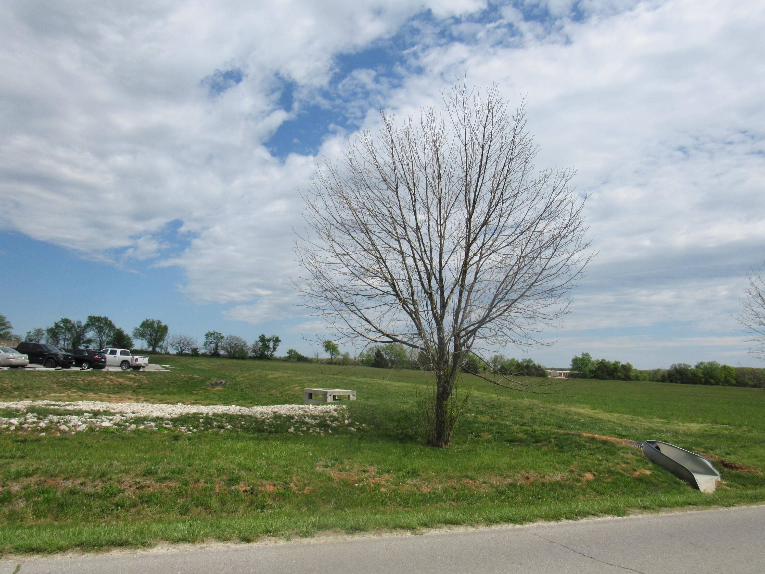 Tract 1-5 George Street, Marshfield, MO 65706