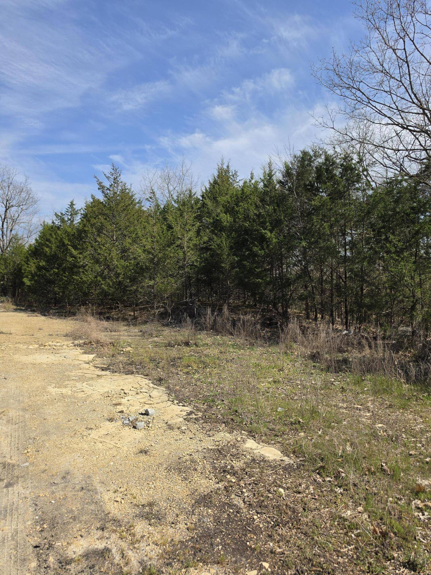 000 Beeler RD, Branson, MO 65616