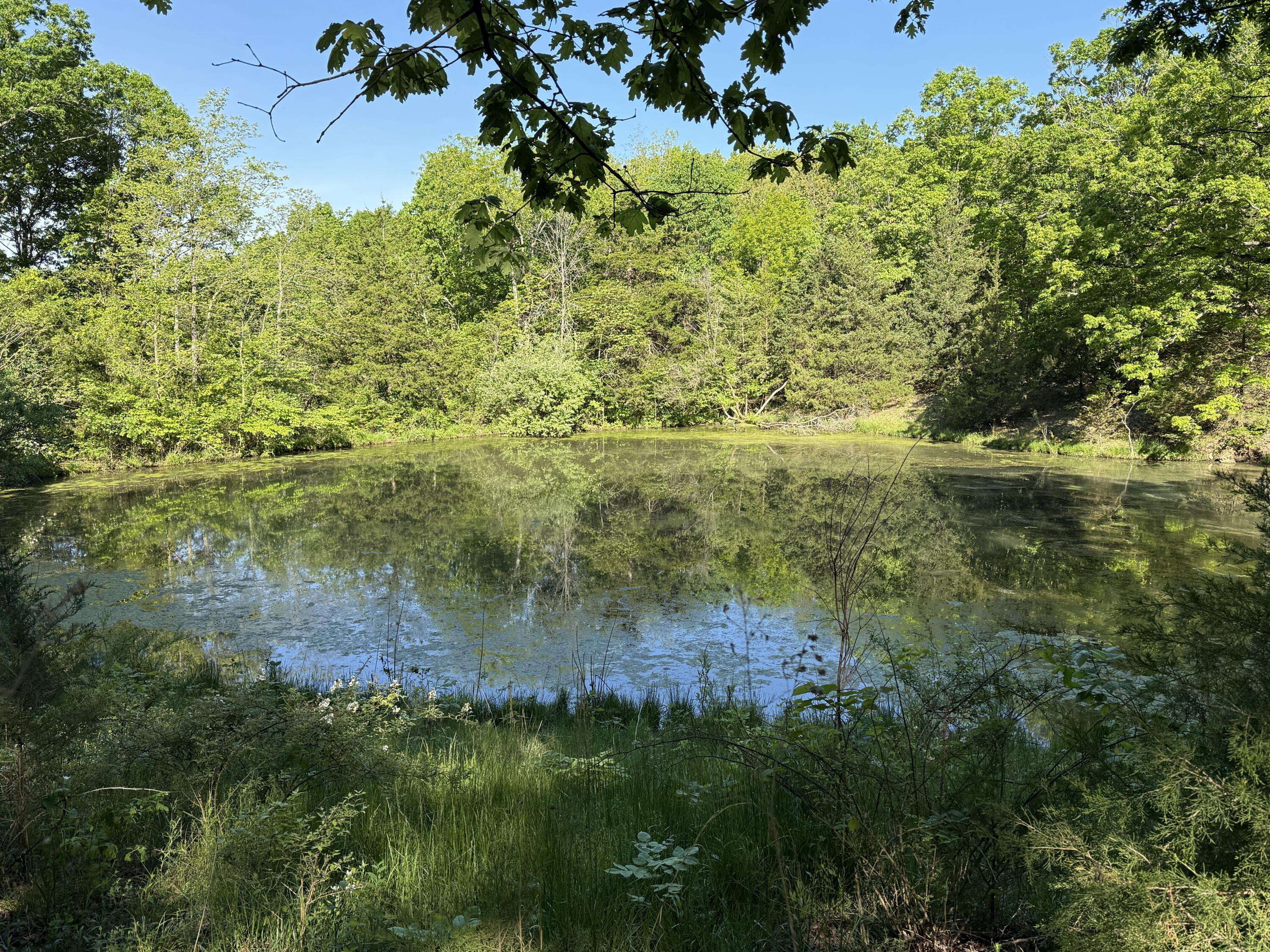 13080 County Road Ee, Cabool, MO 65689