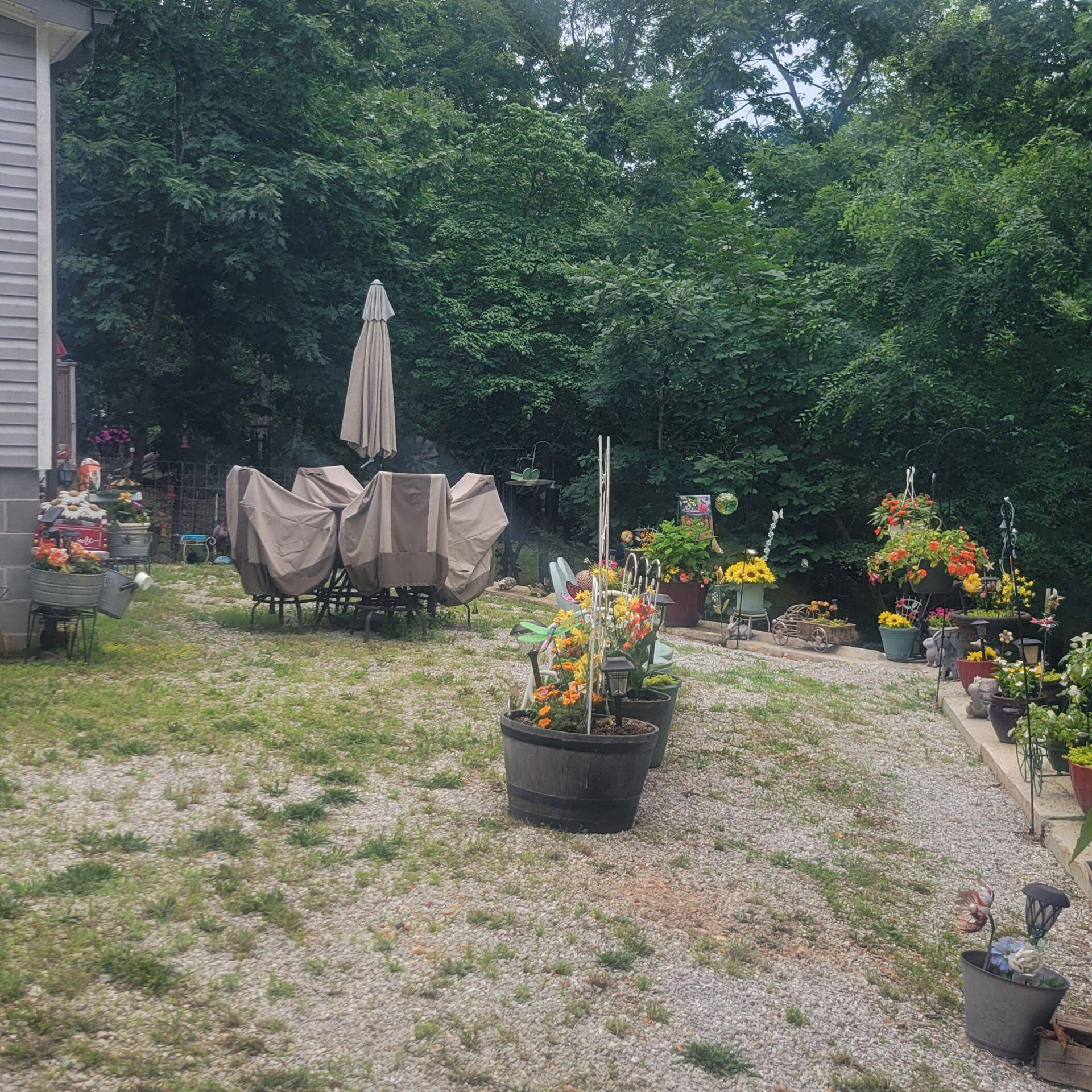 553 Buckeye LN, Stella, MO 64867