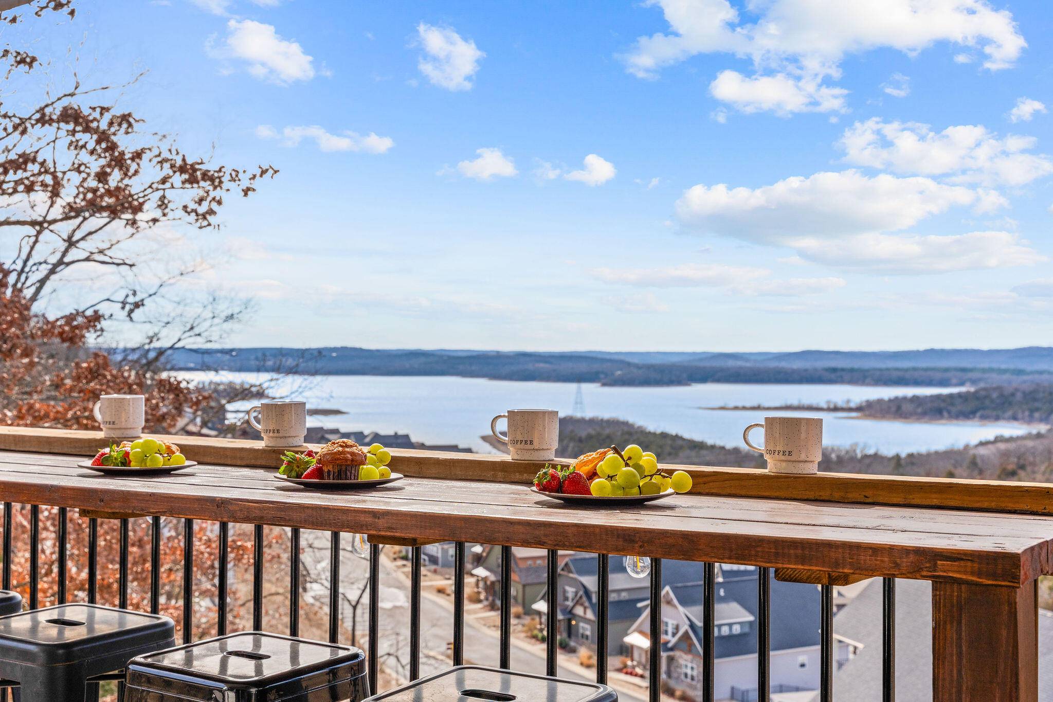 105 Chateau Mountain DR, Branson, MO 65616