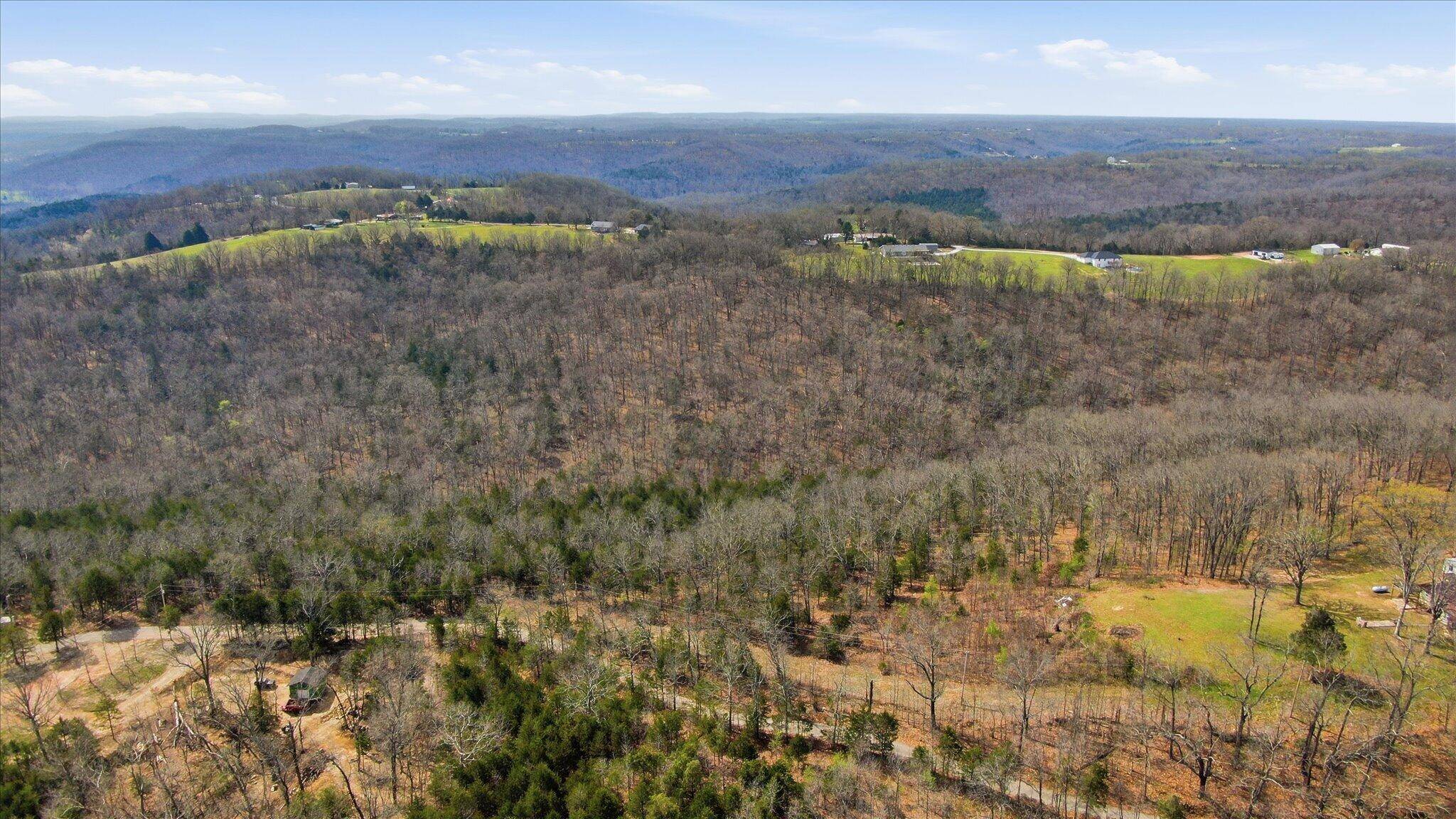 000 Bray Mines RD, Oldfield, MO 65720