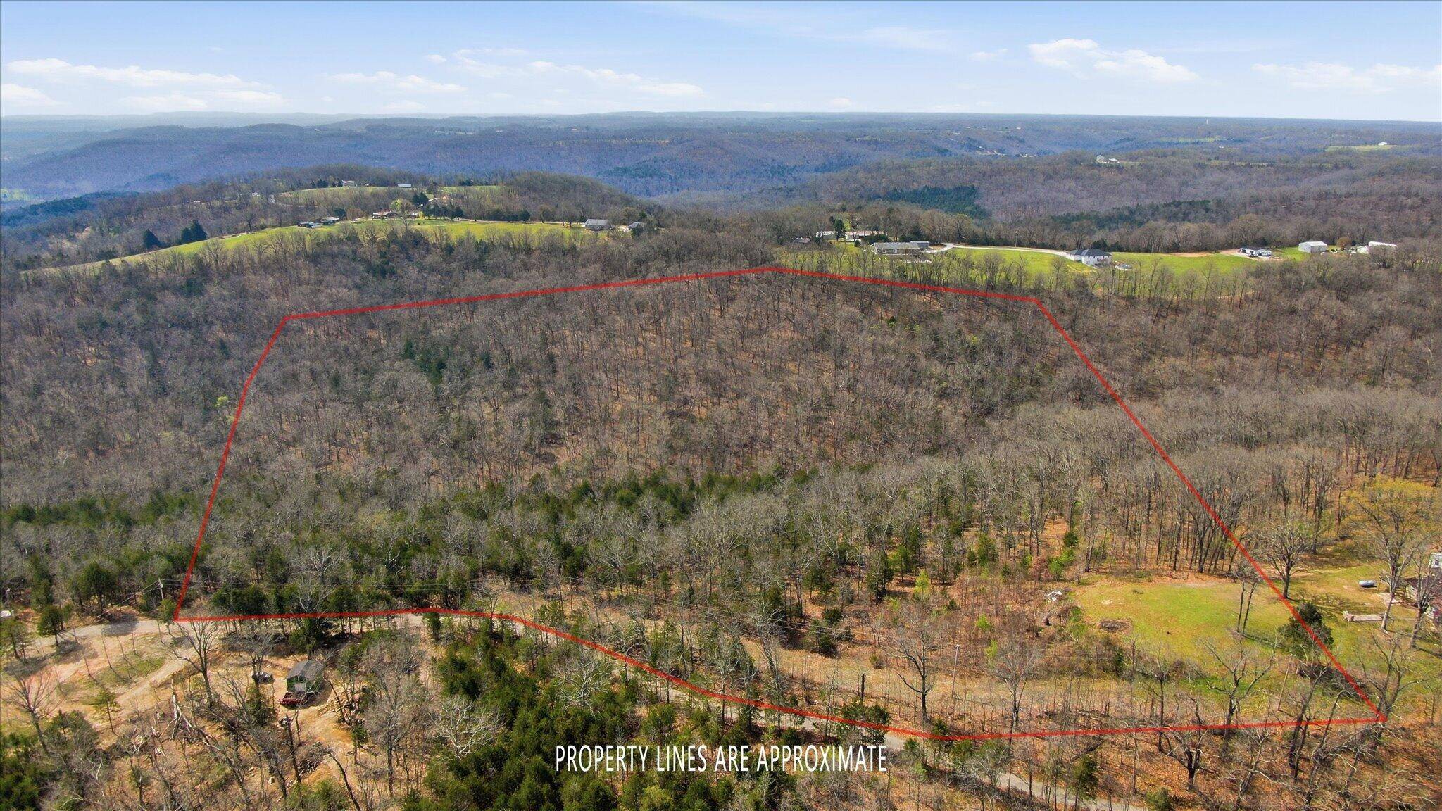 000 Bray Mines RD, Oldfield, MO 65720