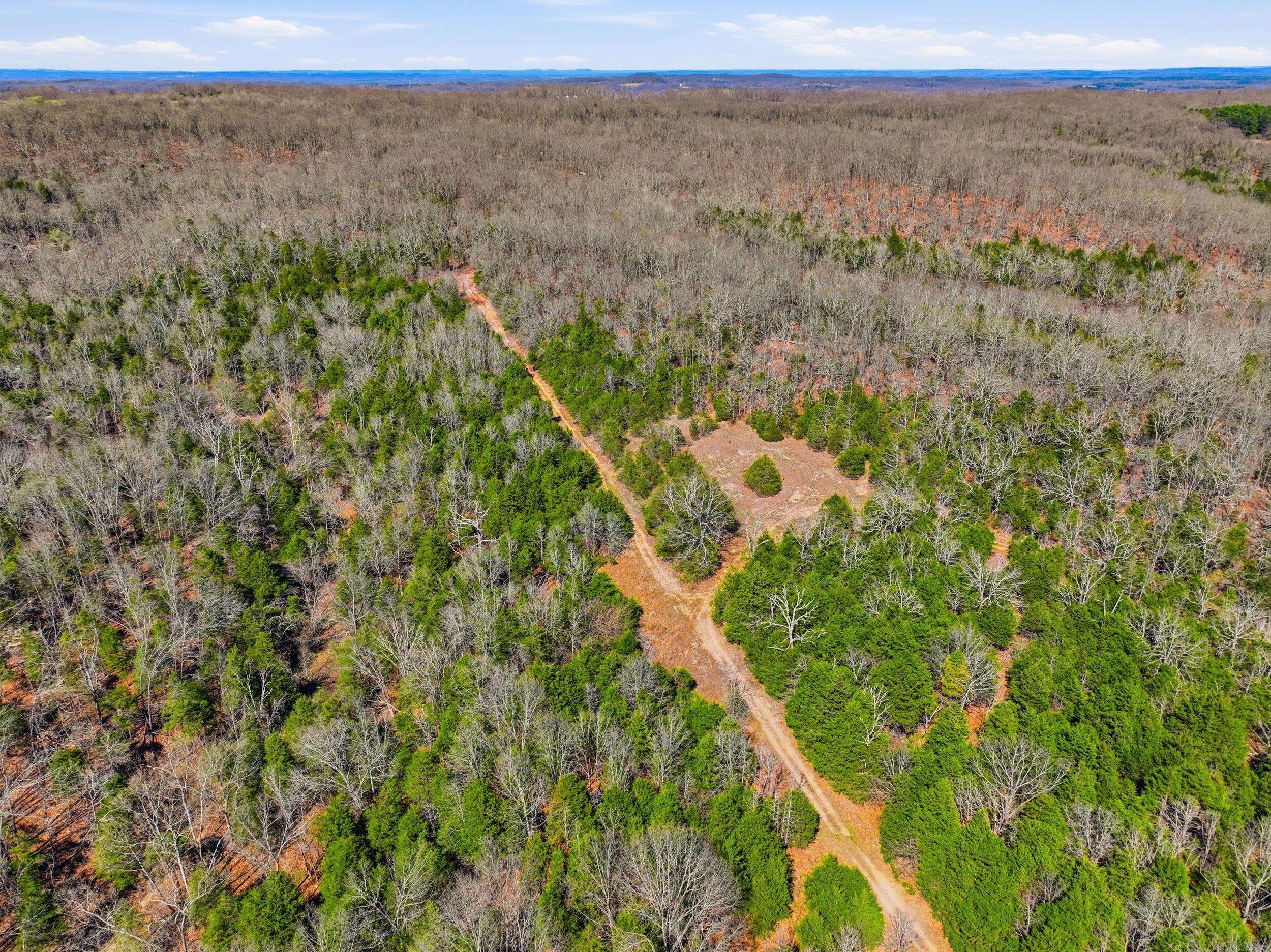 2480 County RD #317, Wasola, MO 65773