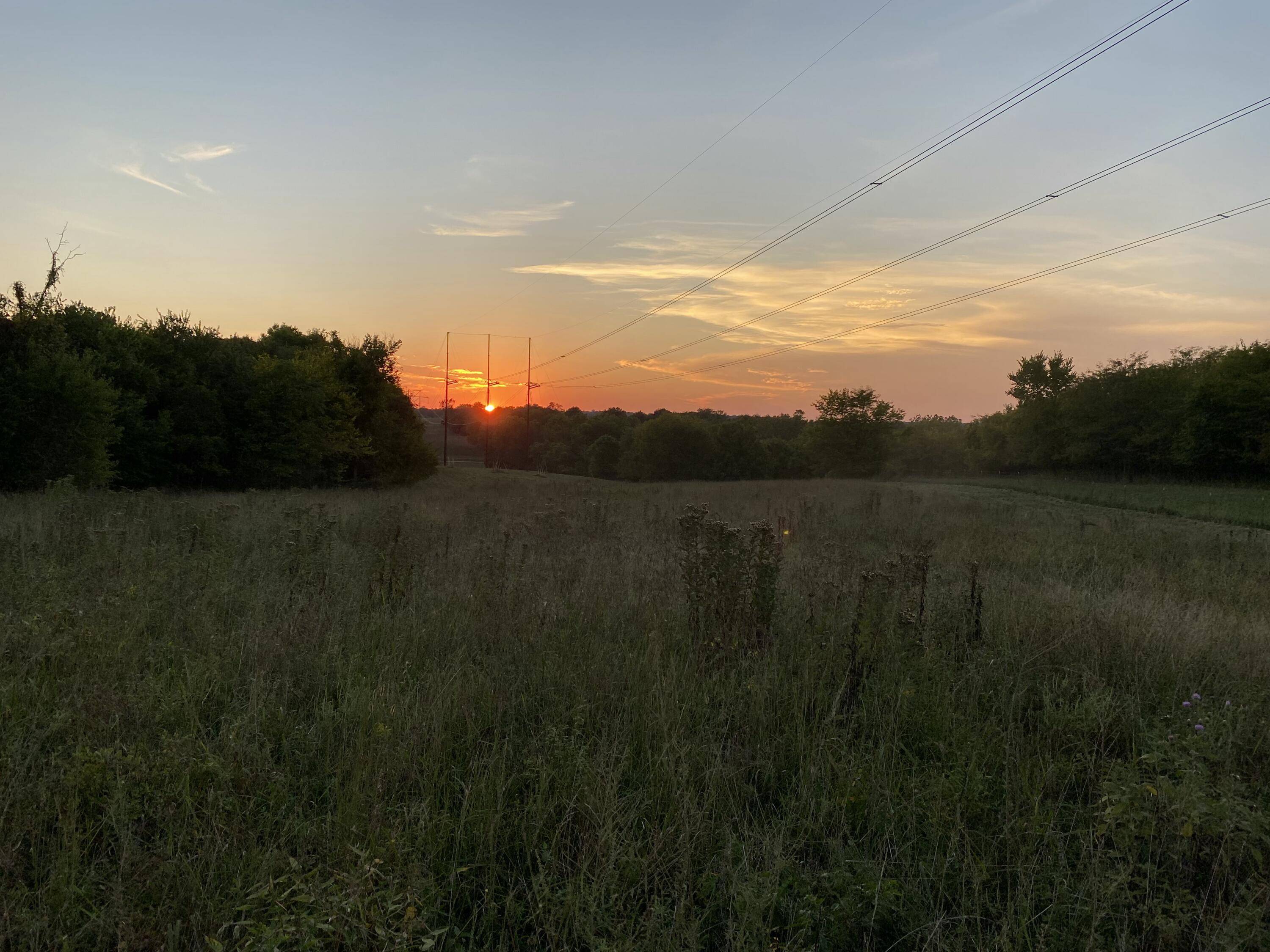 000 Westwind RD, Elkland, MO 65644