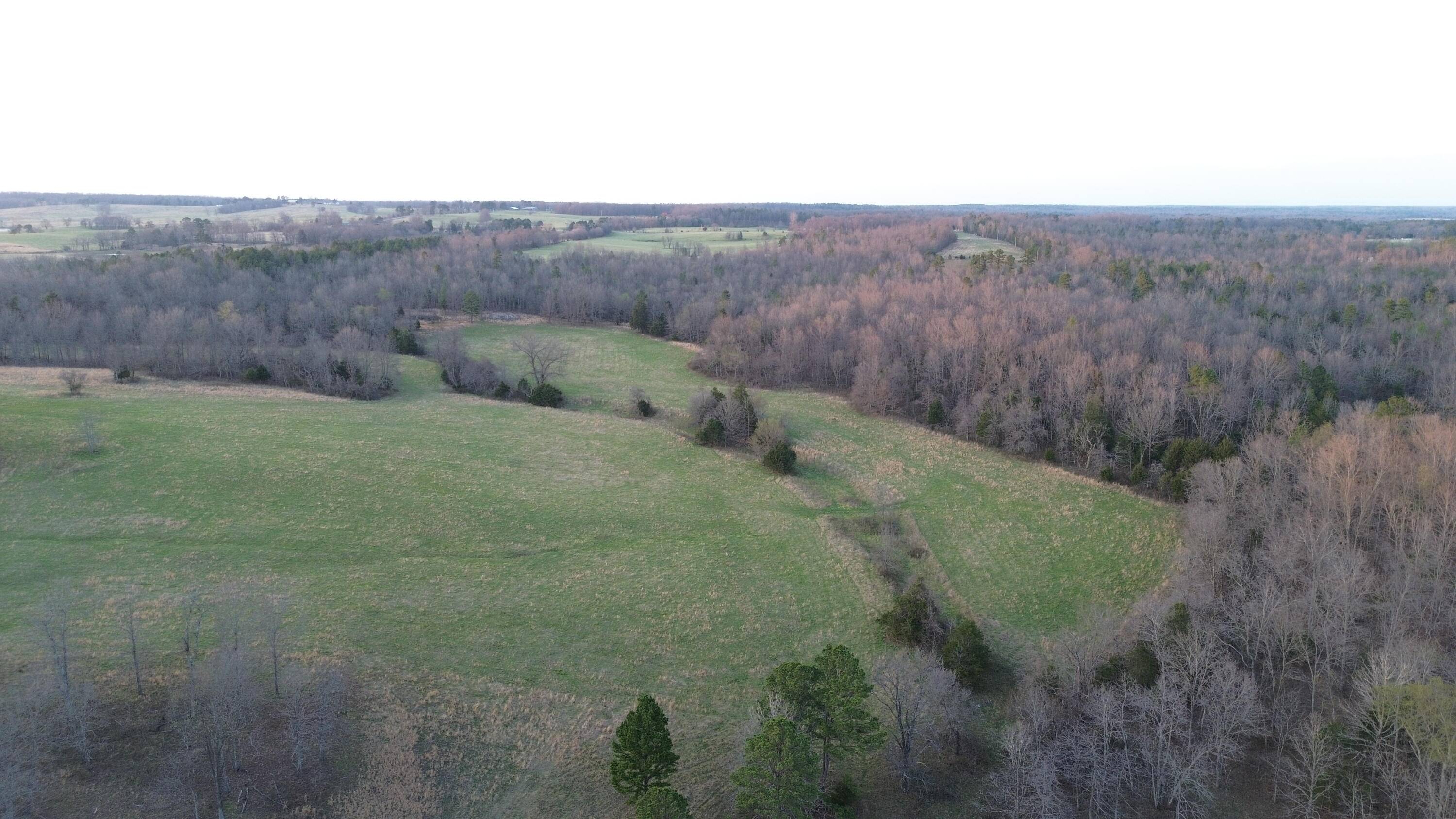 Tract #3 County Road Ww-A, Summersville, MO 65571