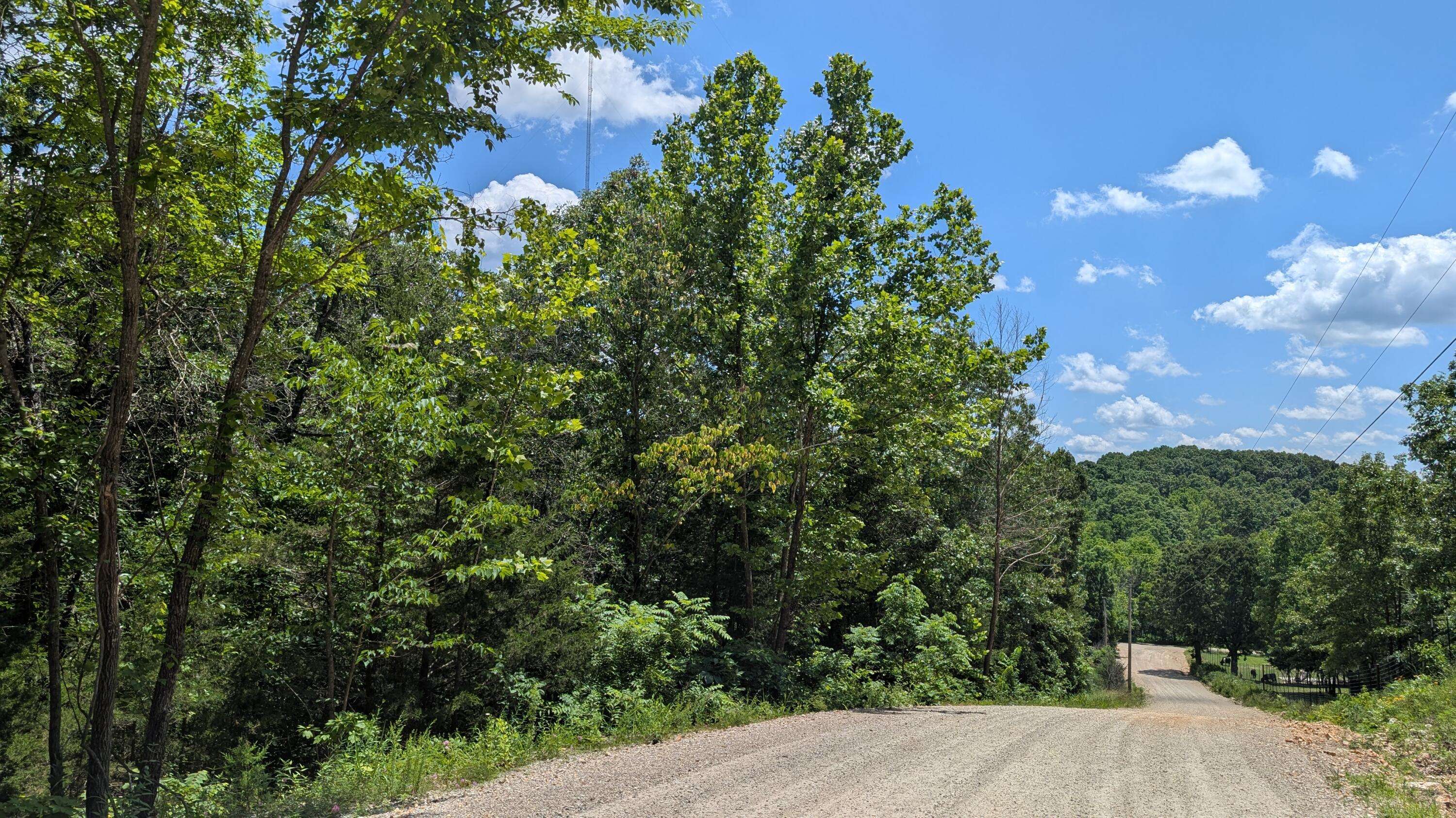 000 Gardner Hill LN, Fordland, MO 65652