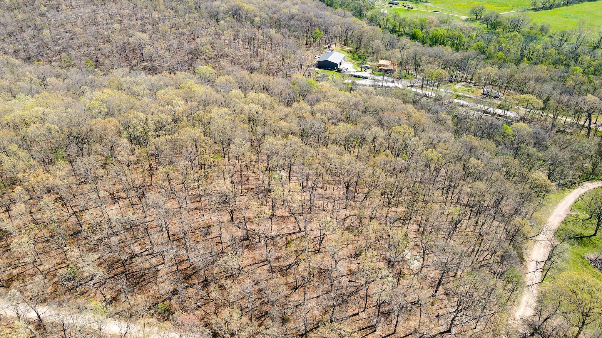 000 Red Wolf LN, Goodman, MO 64843