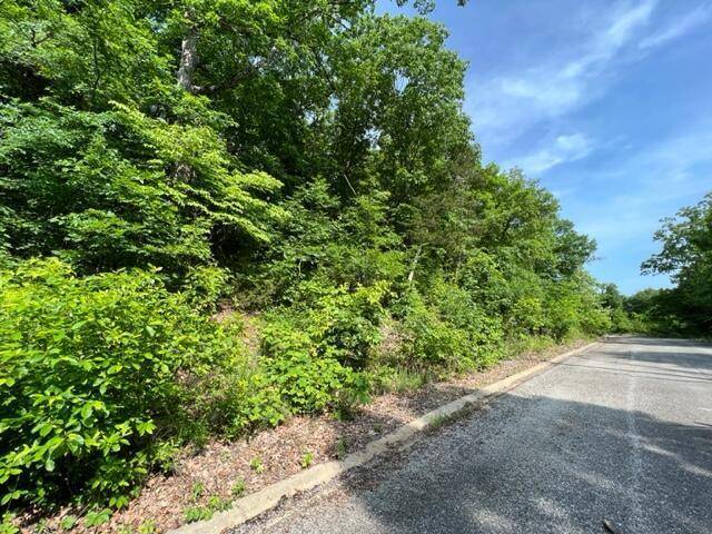 Lot 29 Hill Haven RD, Hollister, MO 65672