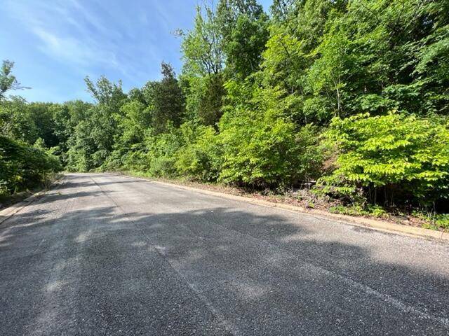 Lot 29 Hill Haven RD, Hollister, MO 65672