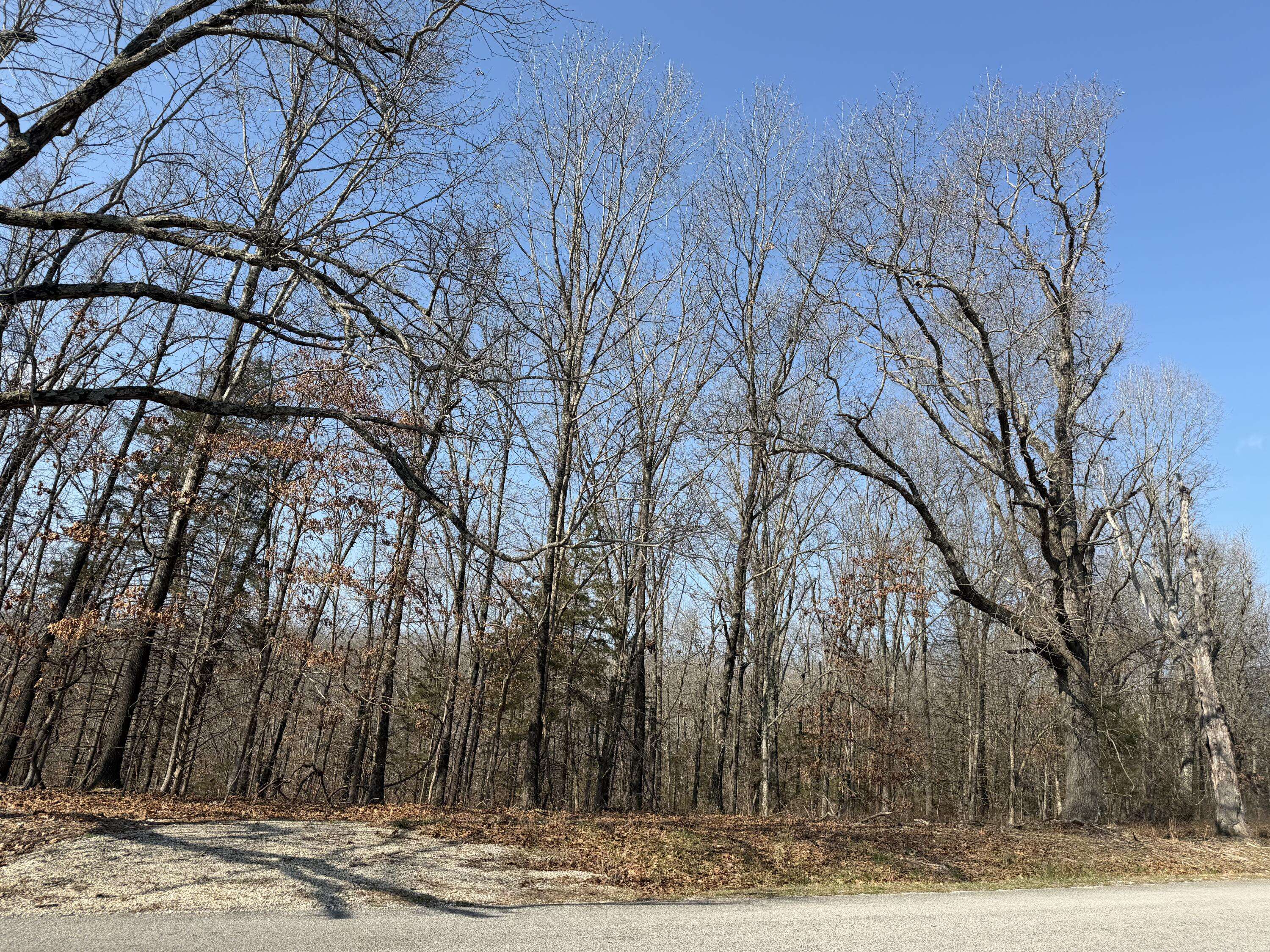 Lot 112 Walnut Springs DR, Cape Fair, MO 65624