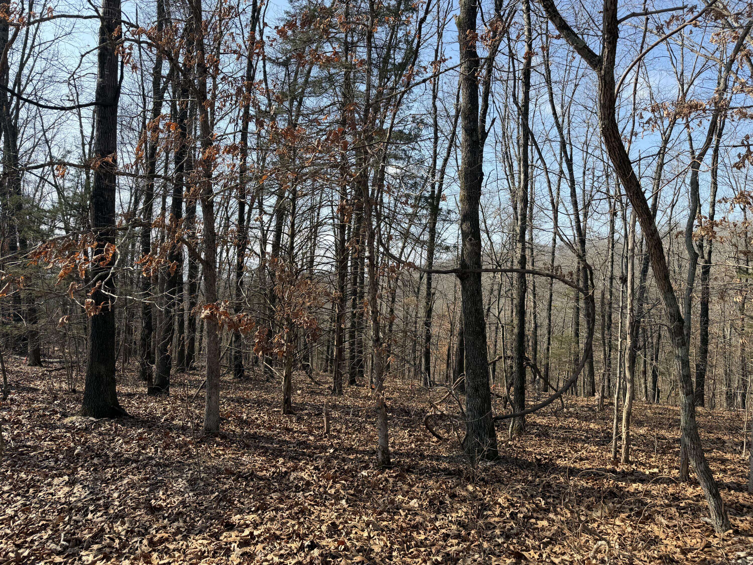 Lot 112 Walnut Springs DR, Cape Fair, MO 65624