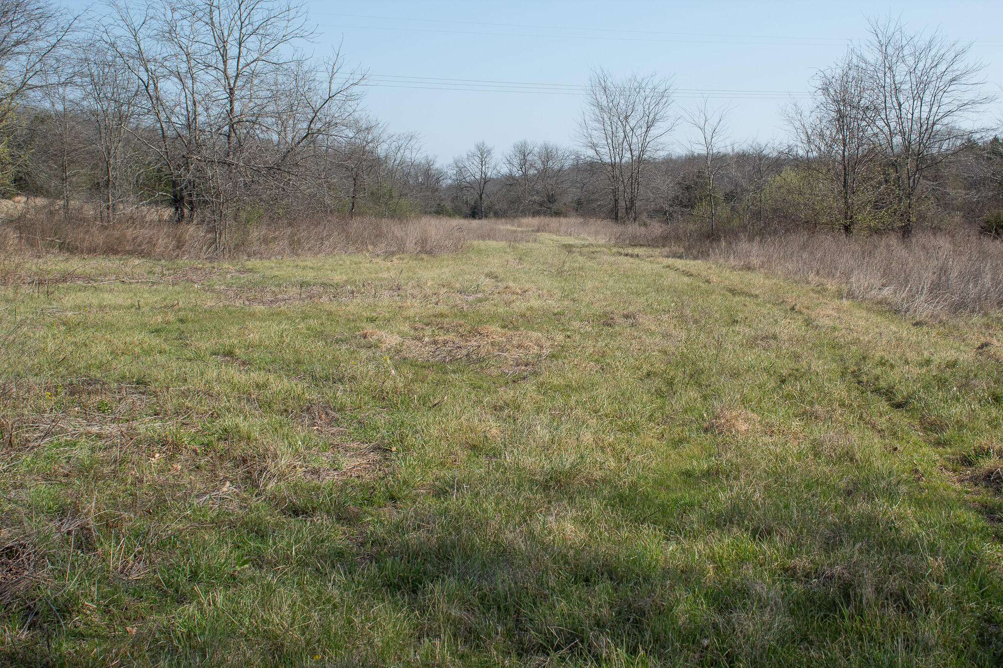 000 Sapphire DR, Richland, MO 65556