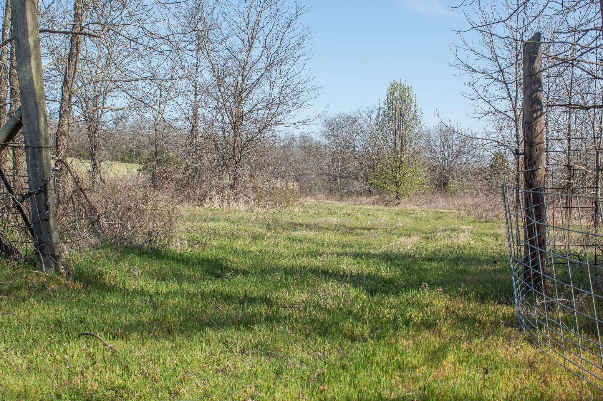 000 Sapphire DR, Richland, MO 65556