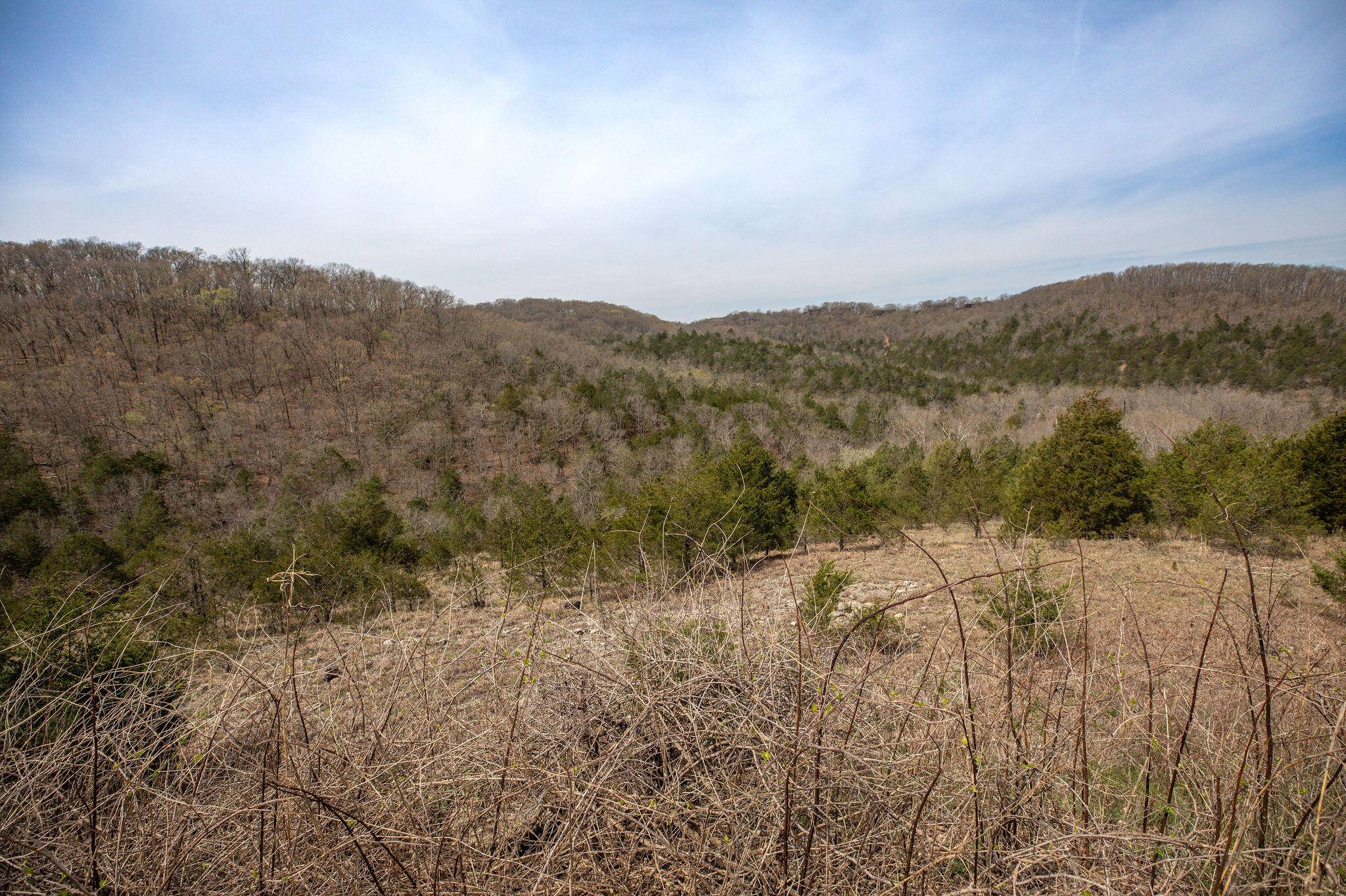 Lot 8 Silver Oak PL, Branson West, MO 65737
