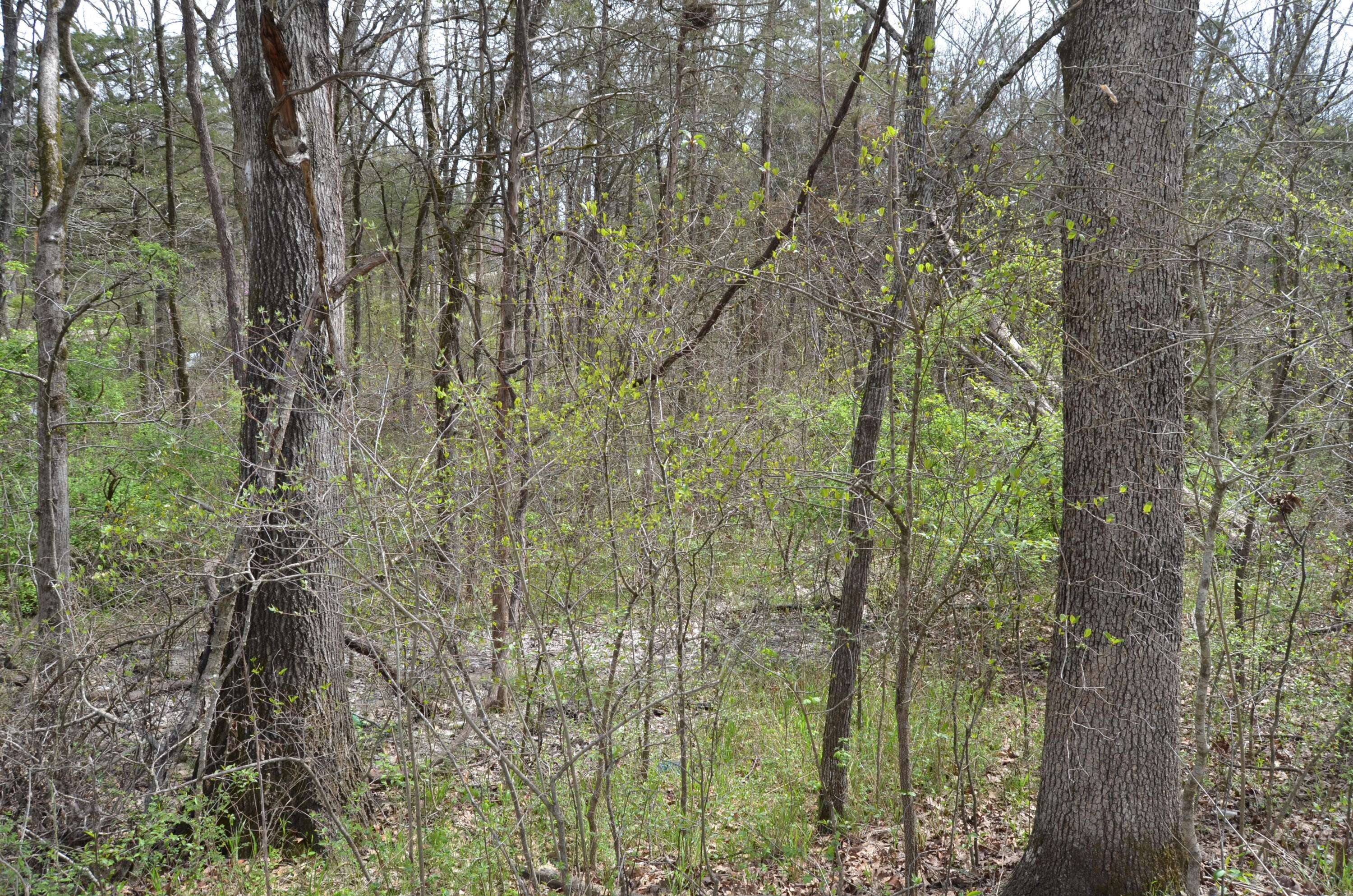 000 Poplar RD, Merriam Woods, MO 65740