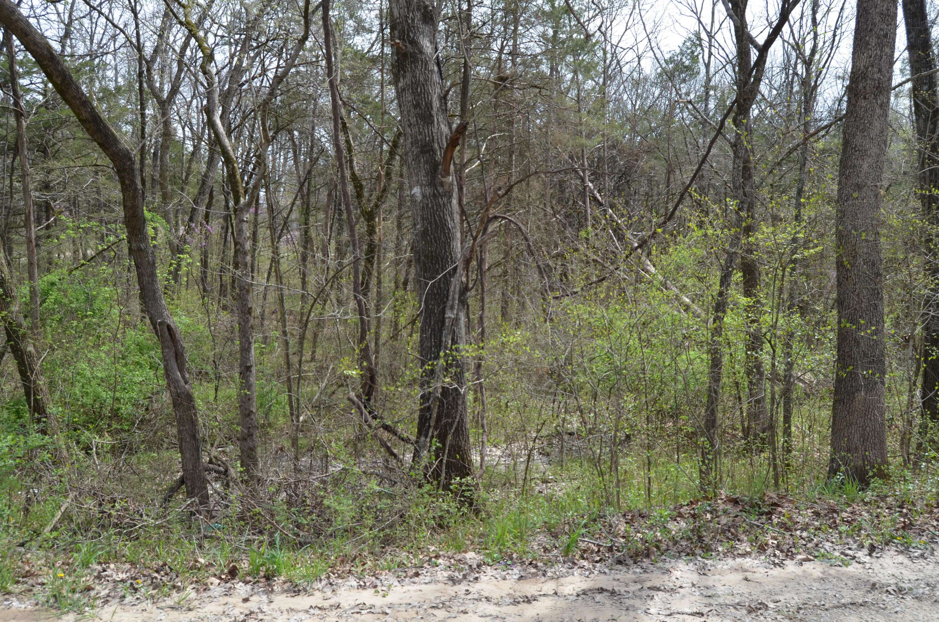 000 Poplar RD, Merriam Woods, MO 65740