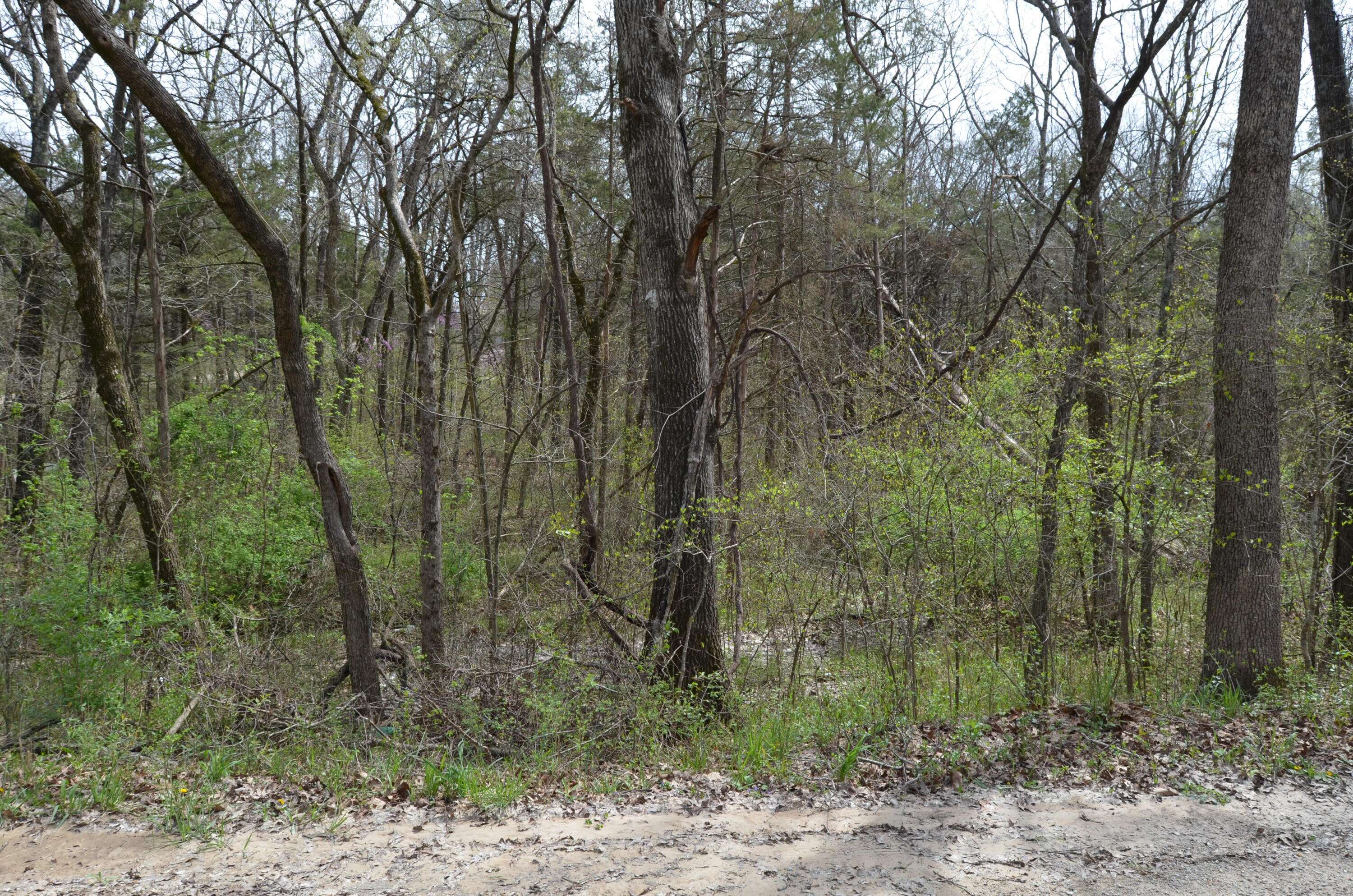 000 Poplar RD, Merriam Woods, MO 65740