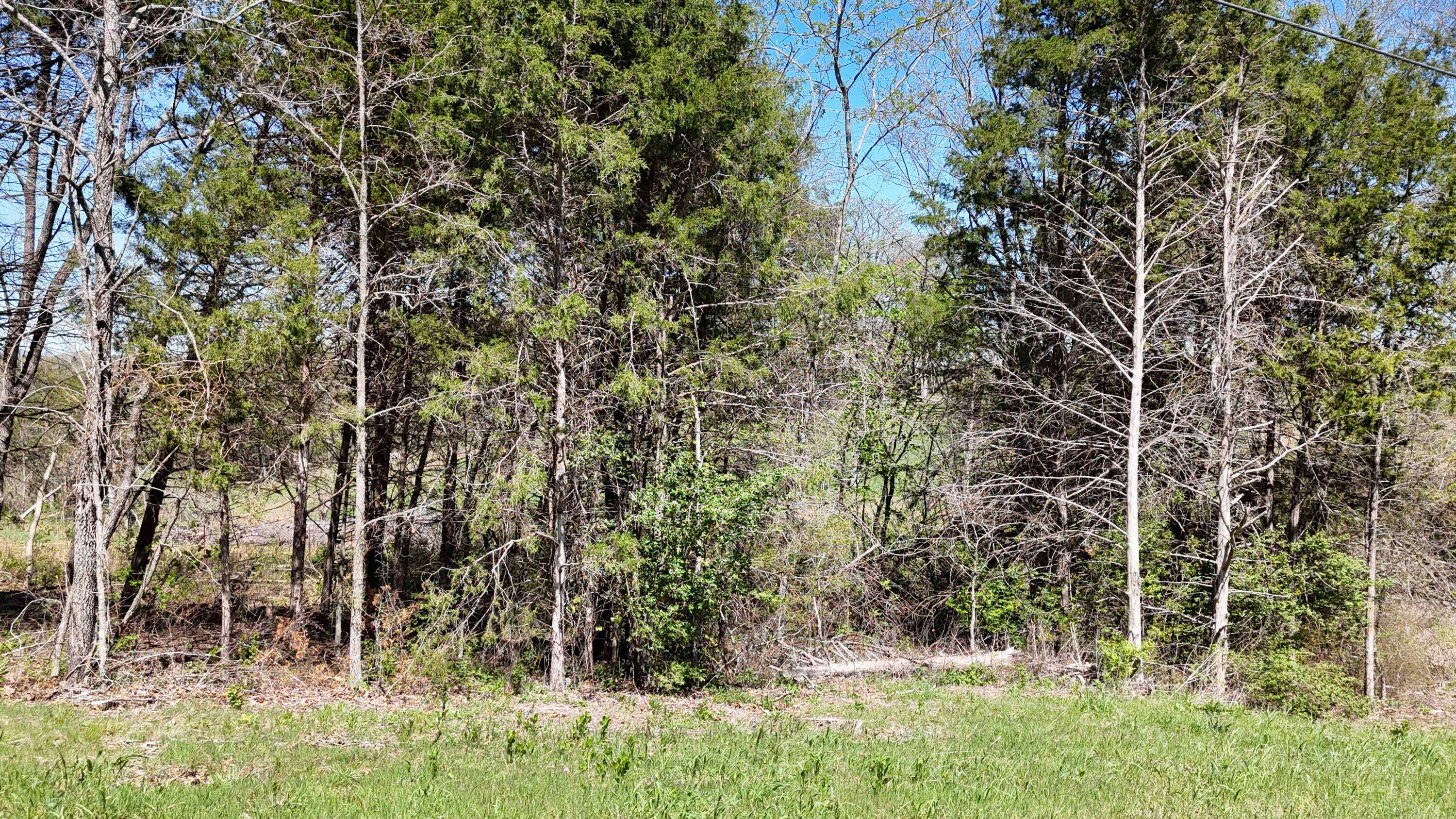 Lot #17 Farm Road 2262, Golden, MO 65658