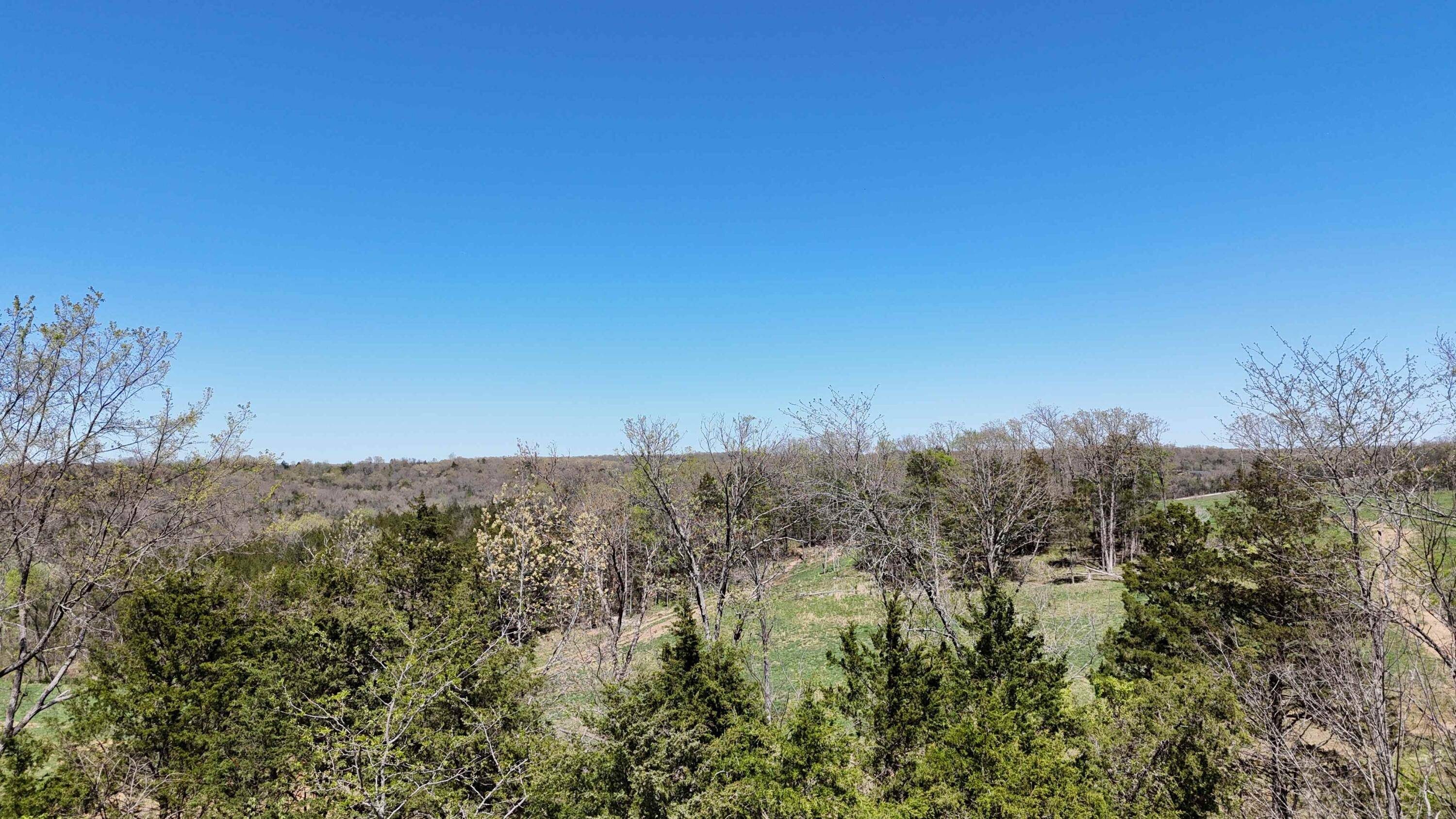 Lot #17 Farm Road 2262, Golden, MO 65658