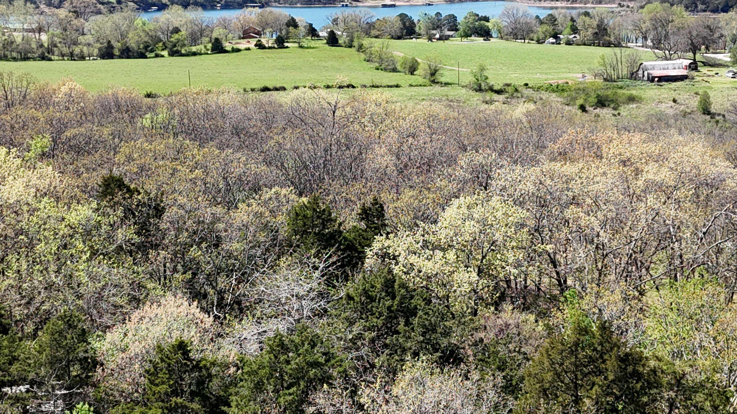 Lot #34 Coral Fountains, Golden, MO 65658