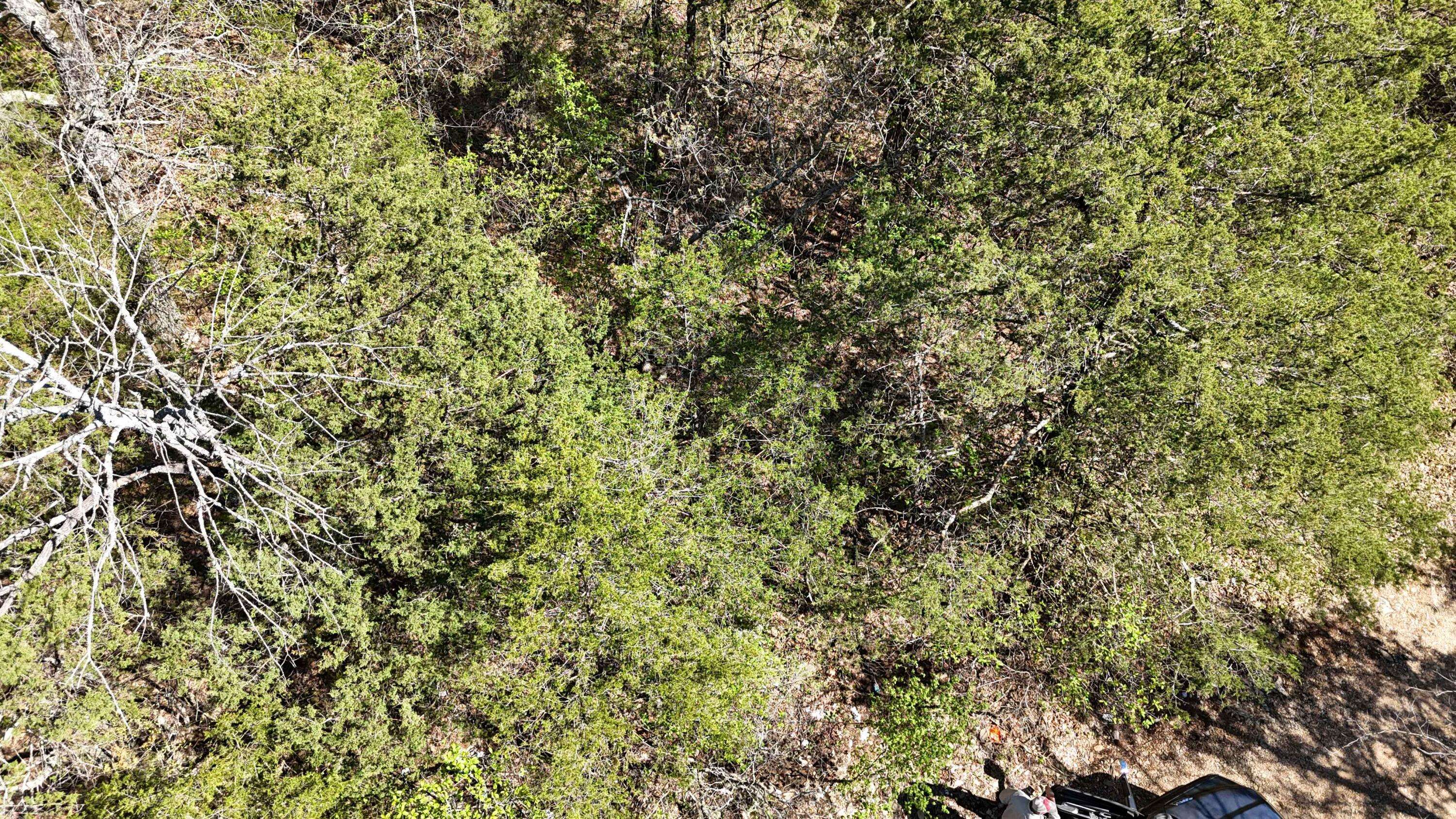 Lot #20 Oak Lane, Shell Knob, MO 65747