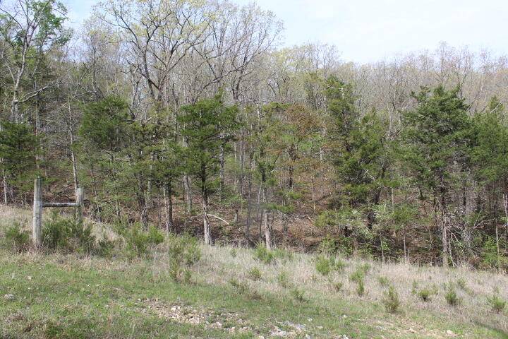 000 County Road 831, Gainesville, MO 65655