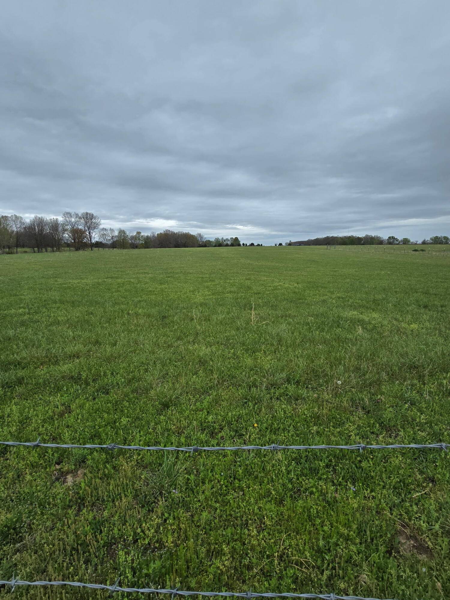 000 Adams Lane, Rogersville, MO 65742