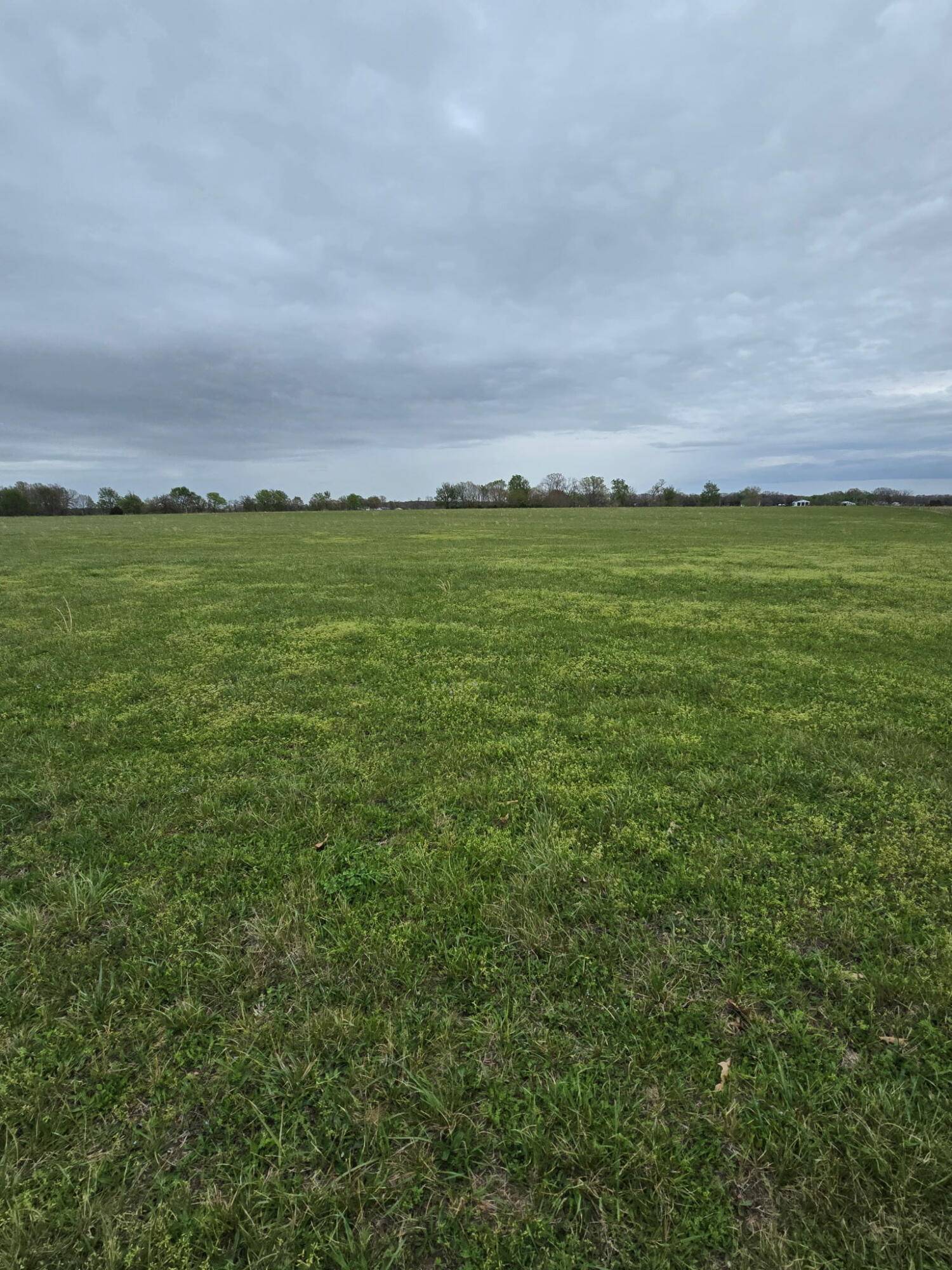 000 Adams Lane, Rogersville, MO 65742