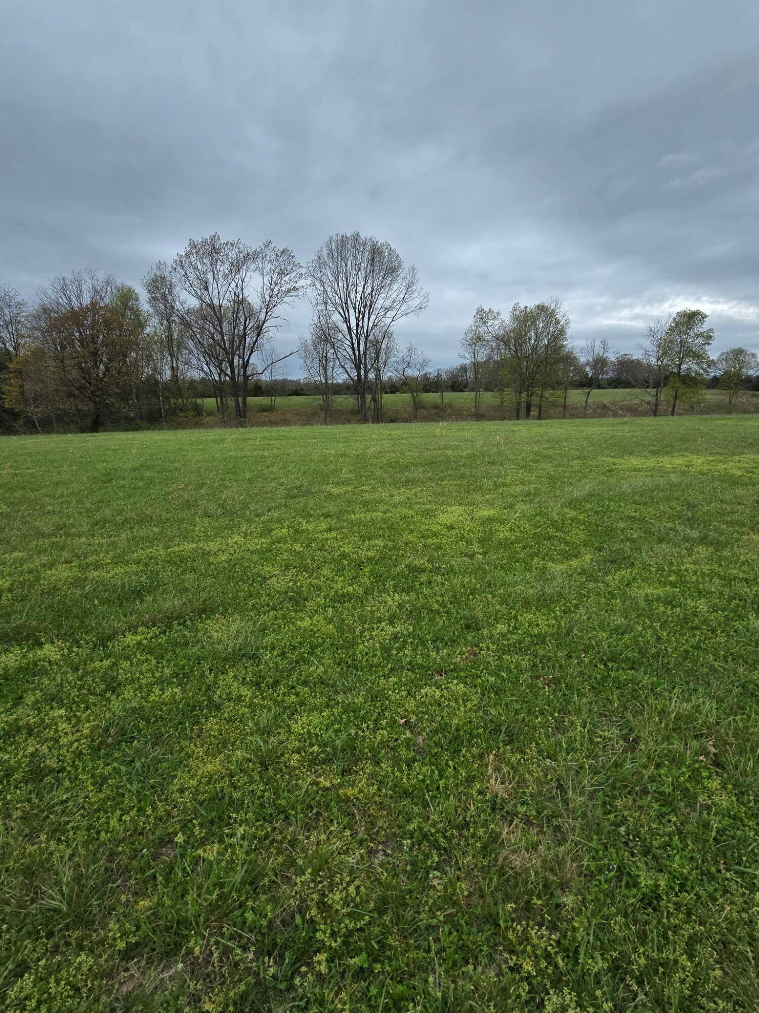 000 Adams Lane, Rogersville, MO 65742
