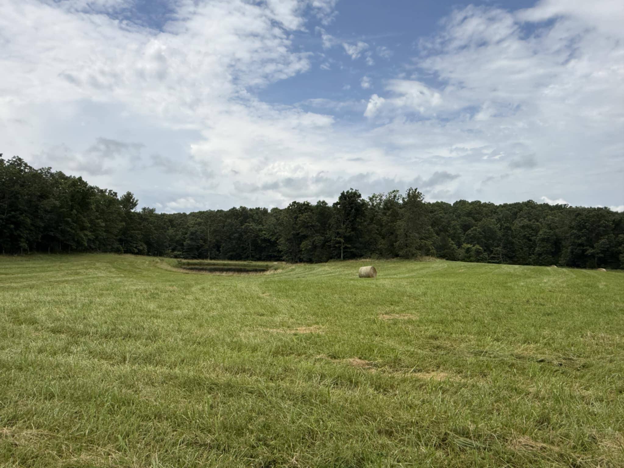 5748 County Road 3850, Peace Valley, MO 65788