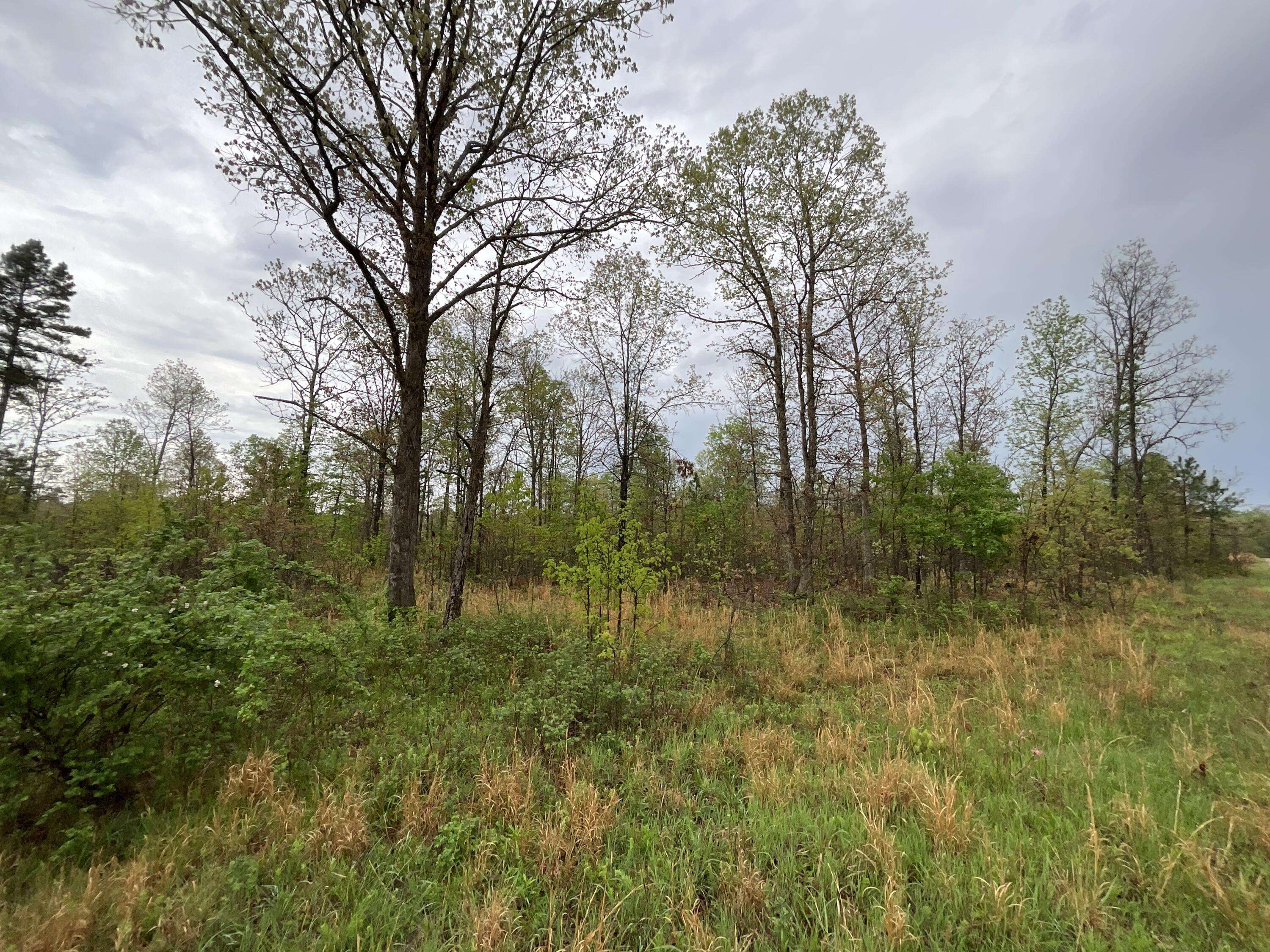 Lot 9 Lake WAY, Winona, MO 65588