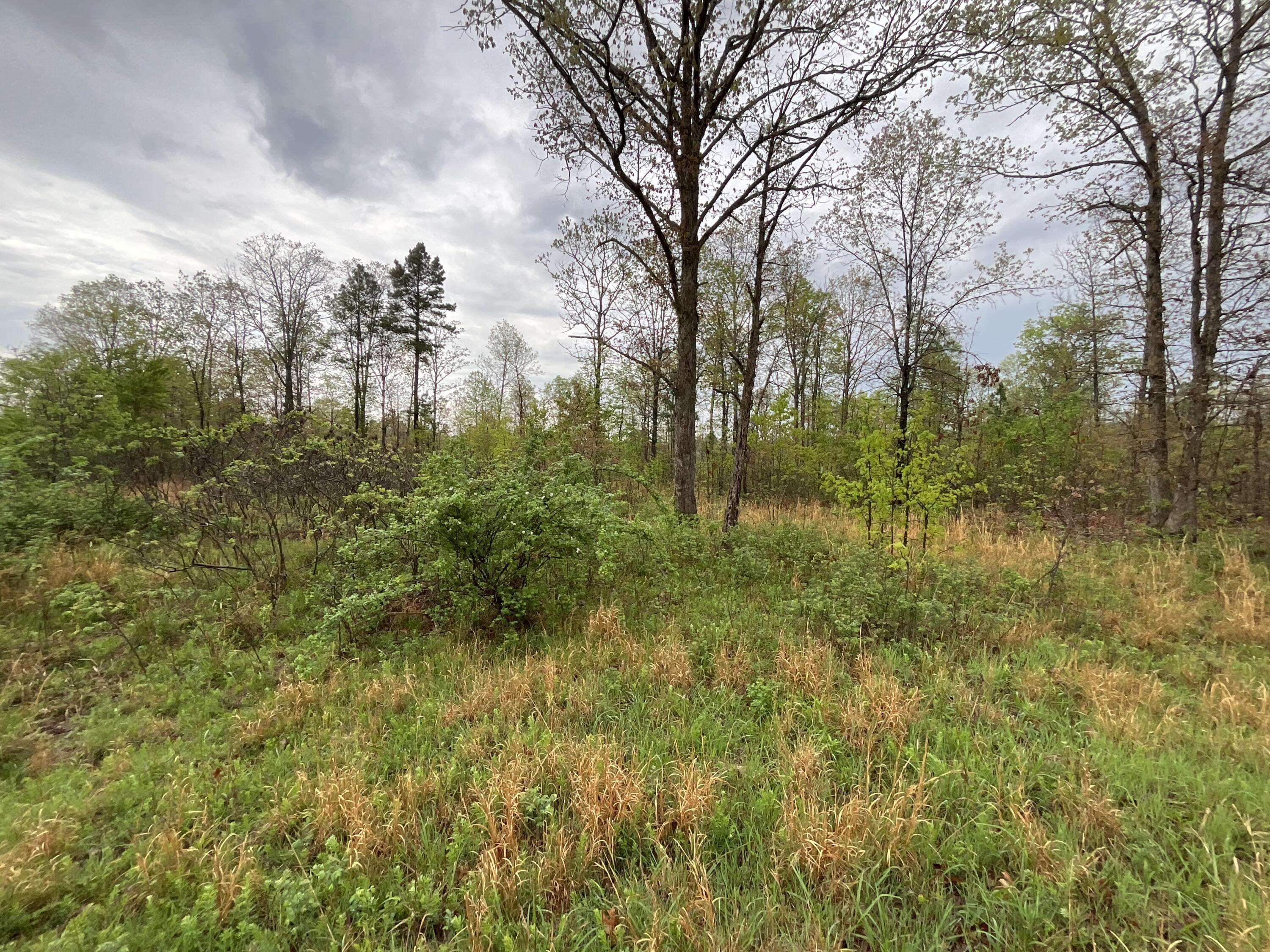 Lot 9 Lake WAY, Winona, MO 65588